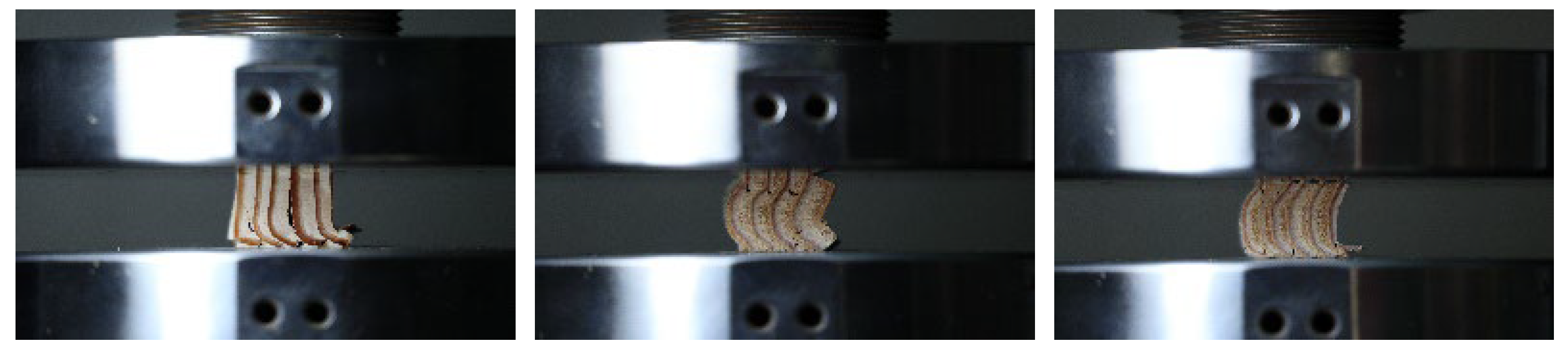 Forests 14 01451 g008 Forests 14 01451 g008