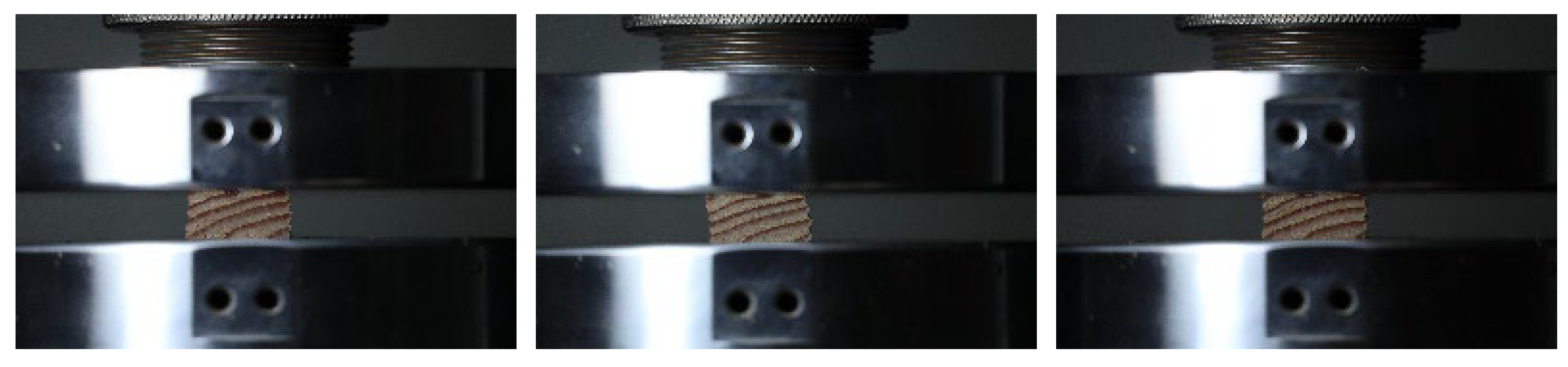 Forests 14 01451 g010 Forests 14 01451 g010