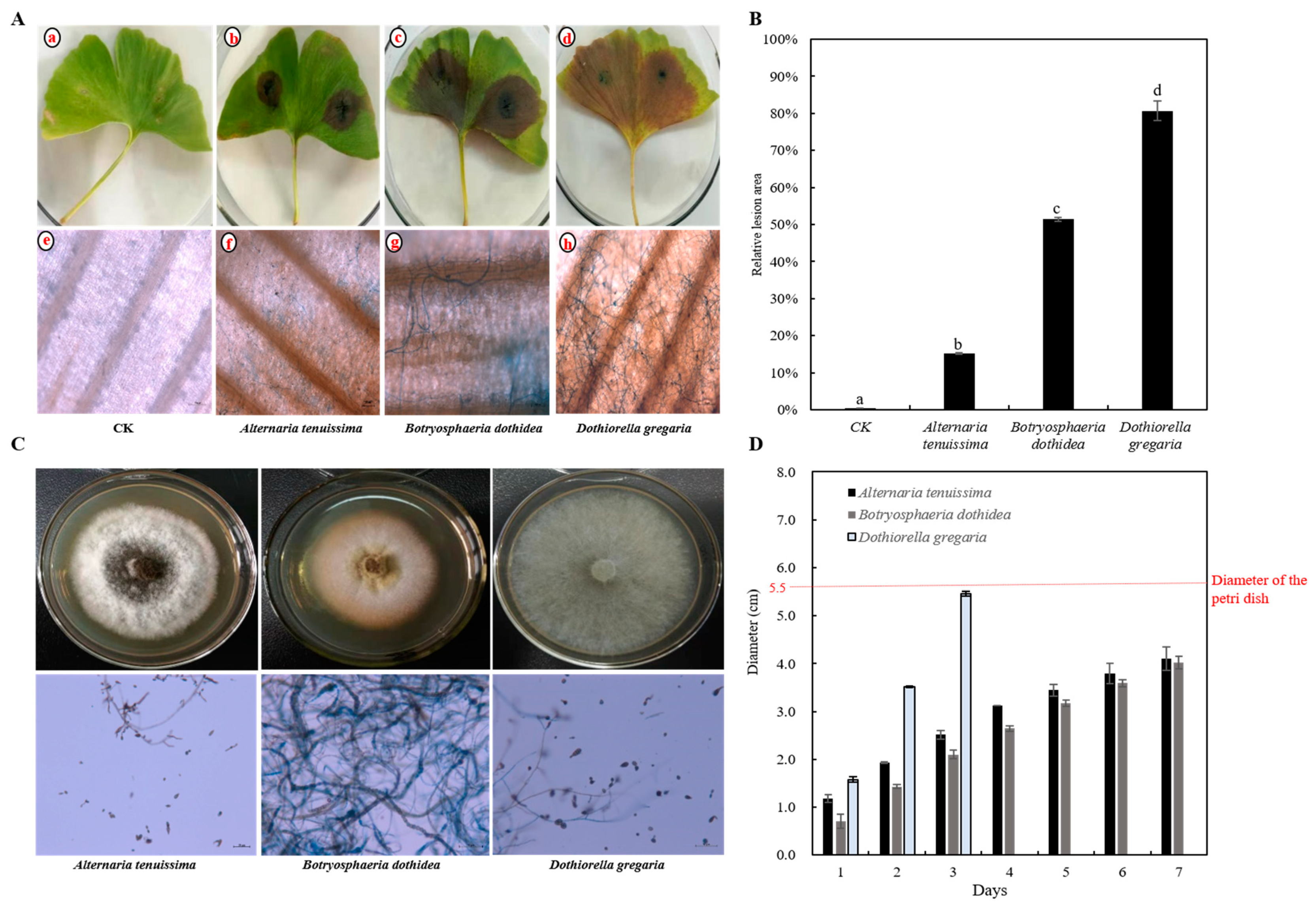 Forests 14 01452 g002