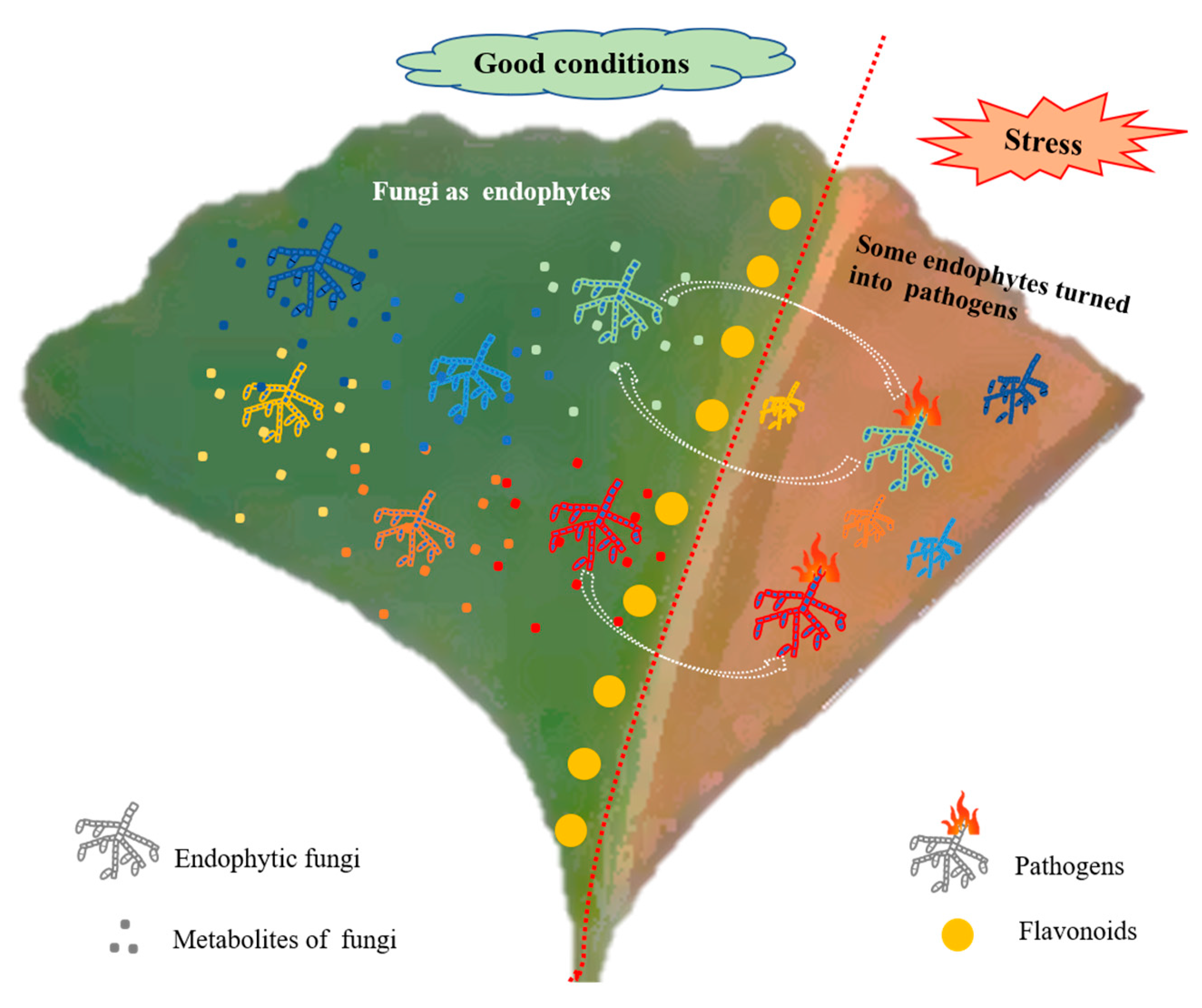 Forests 14 01452 g009