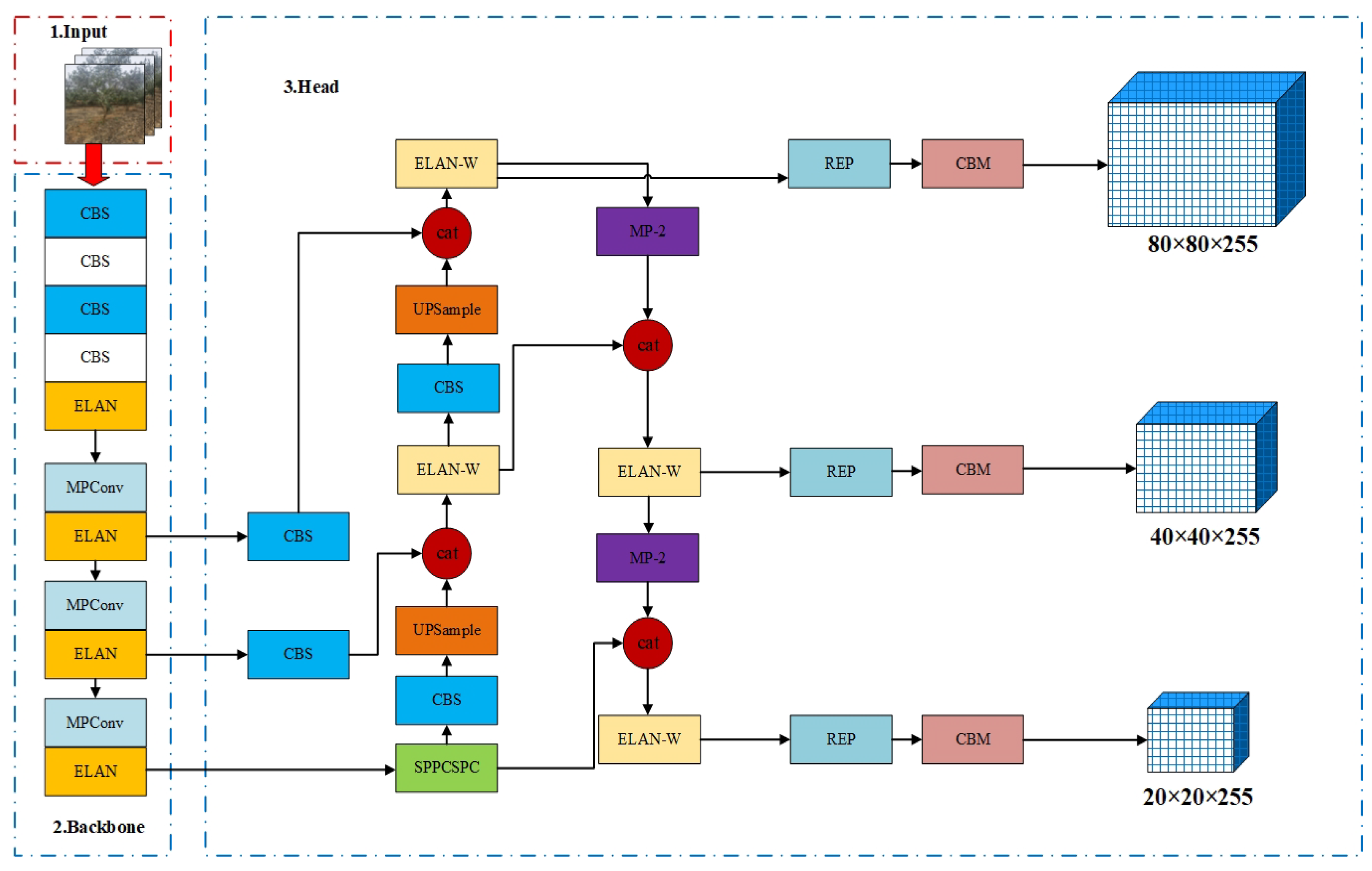 Forests 14 01453 g005