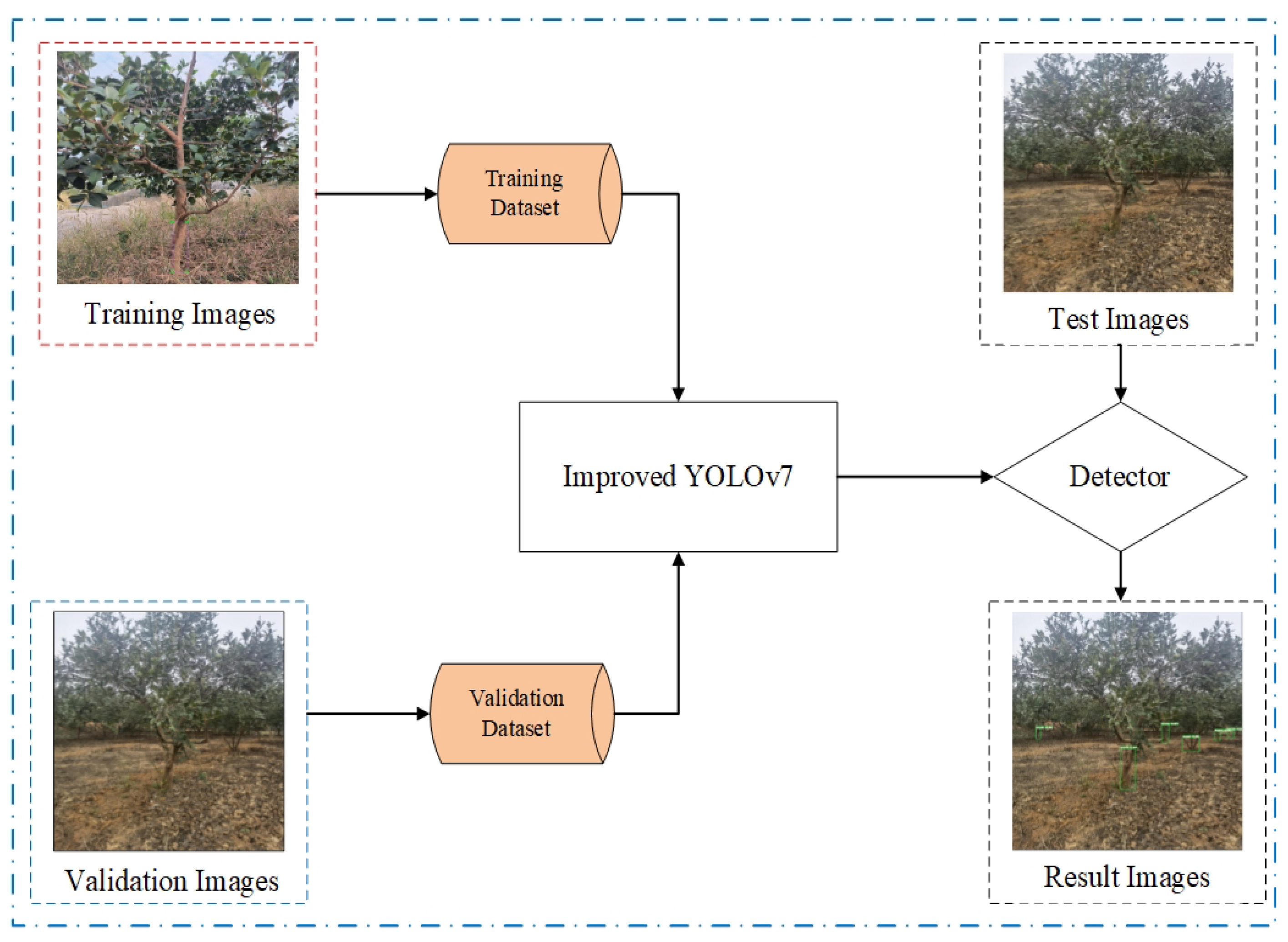 Forests 14 01453 g008
