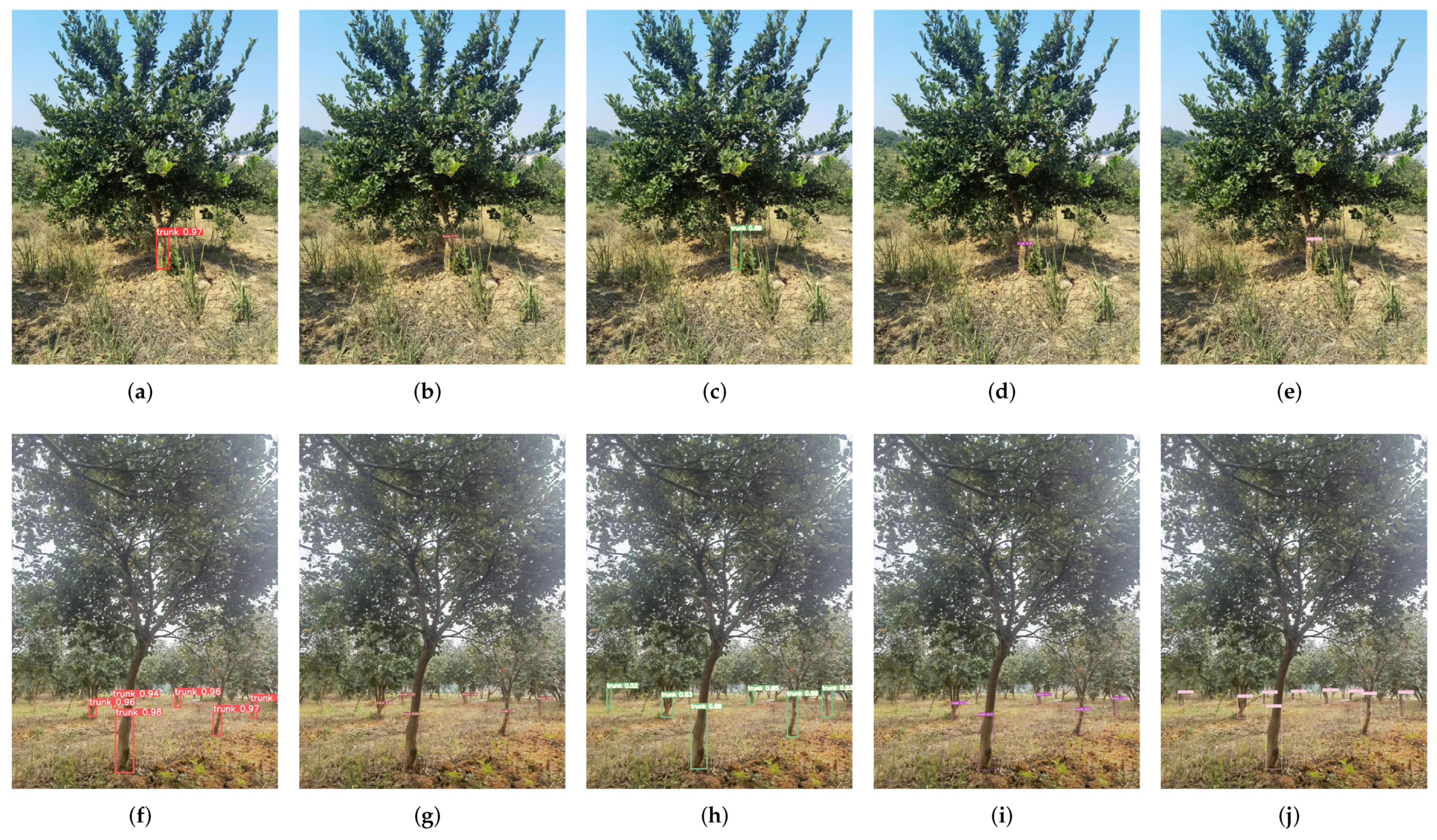 Forests 14 01453 g012