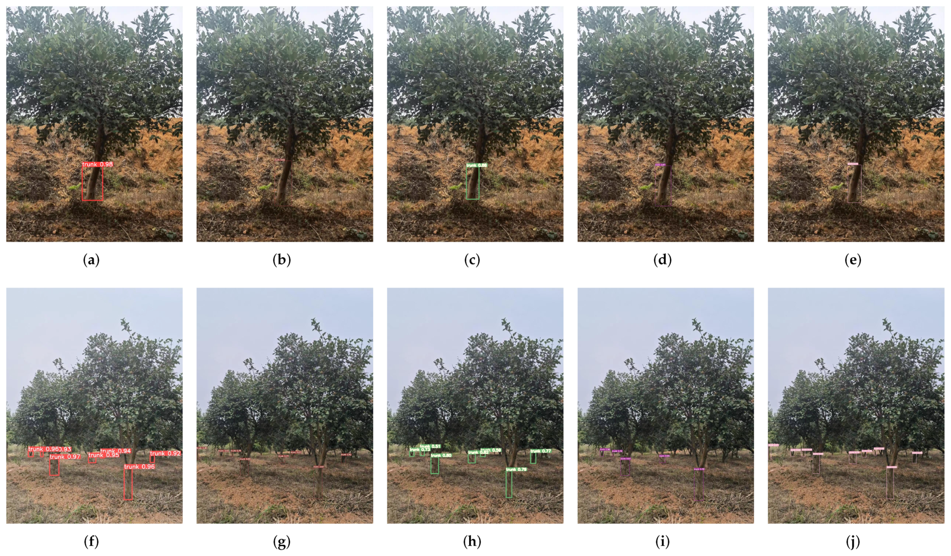 Forests 14 01453 g013