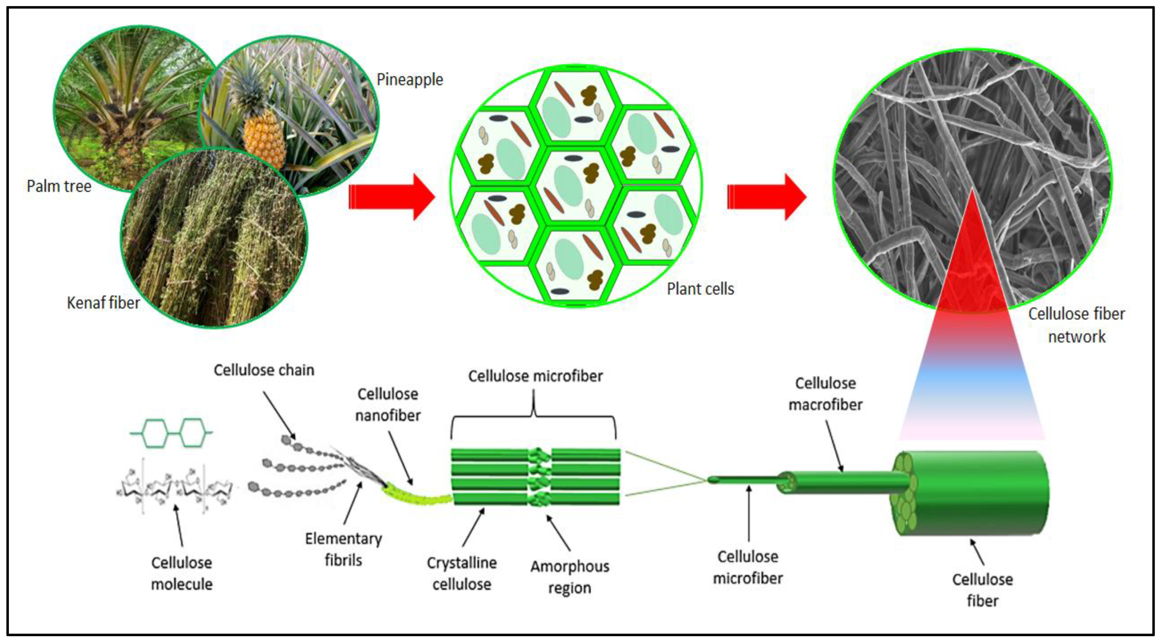 Forests 14 01457 g002