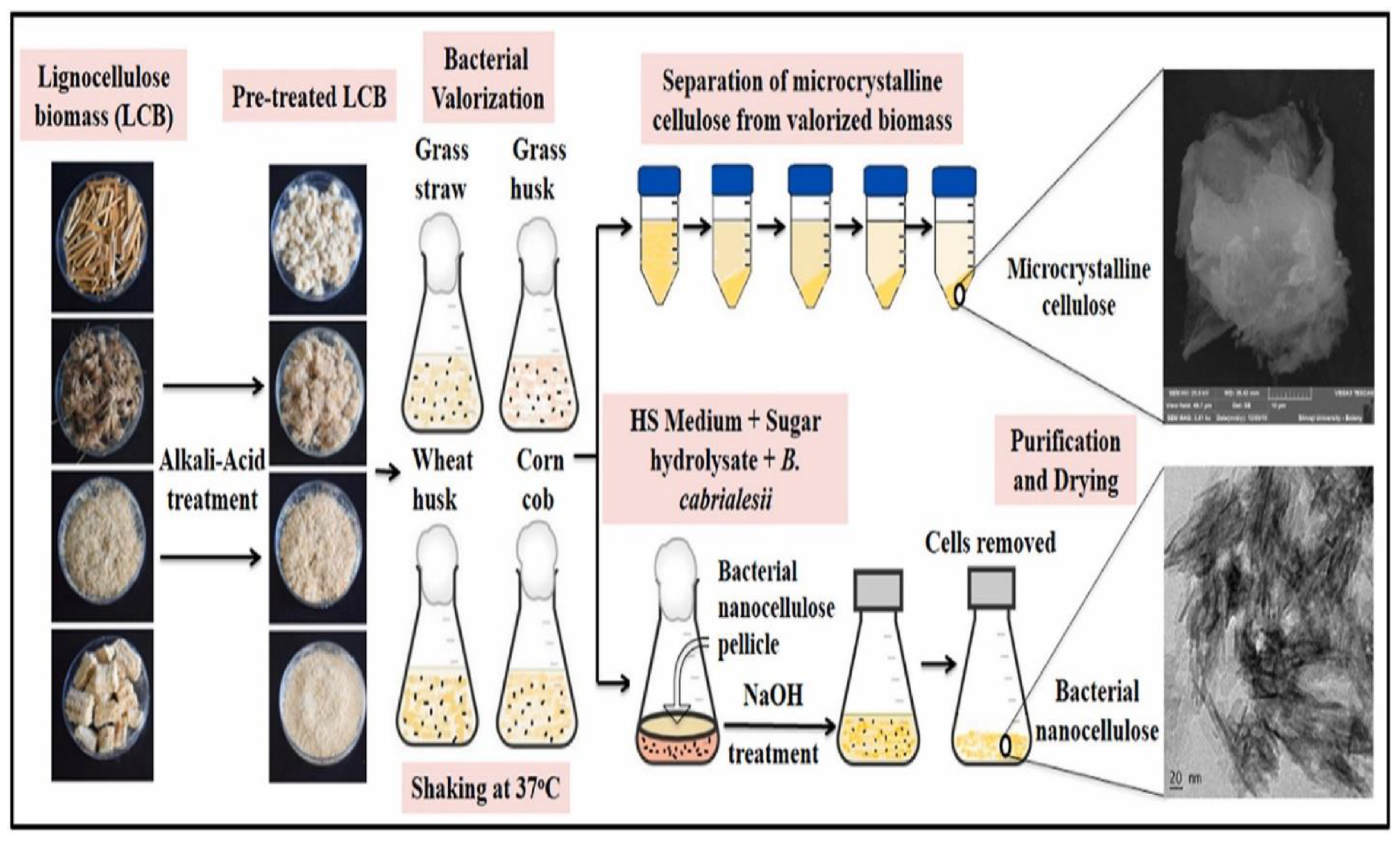 Forests 14 01457 g003