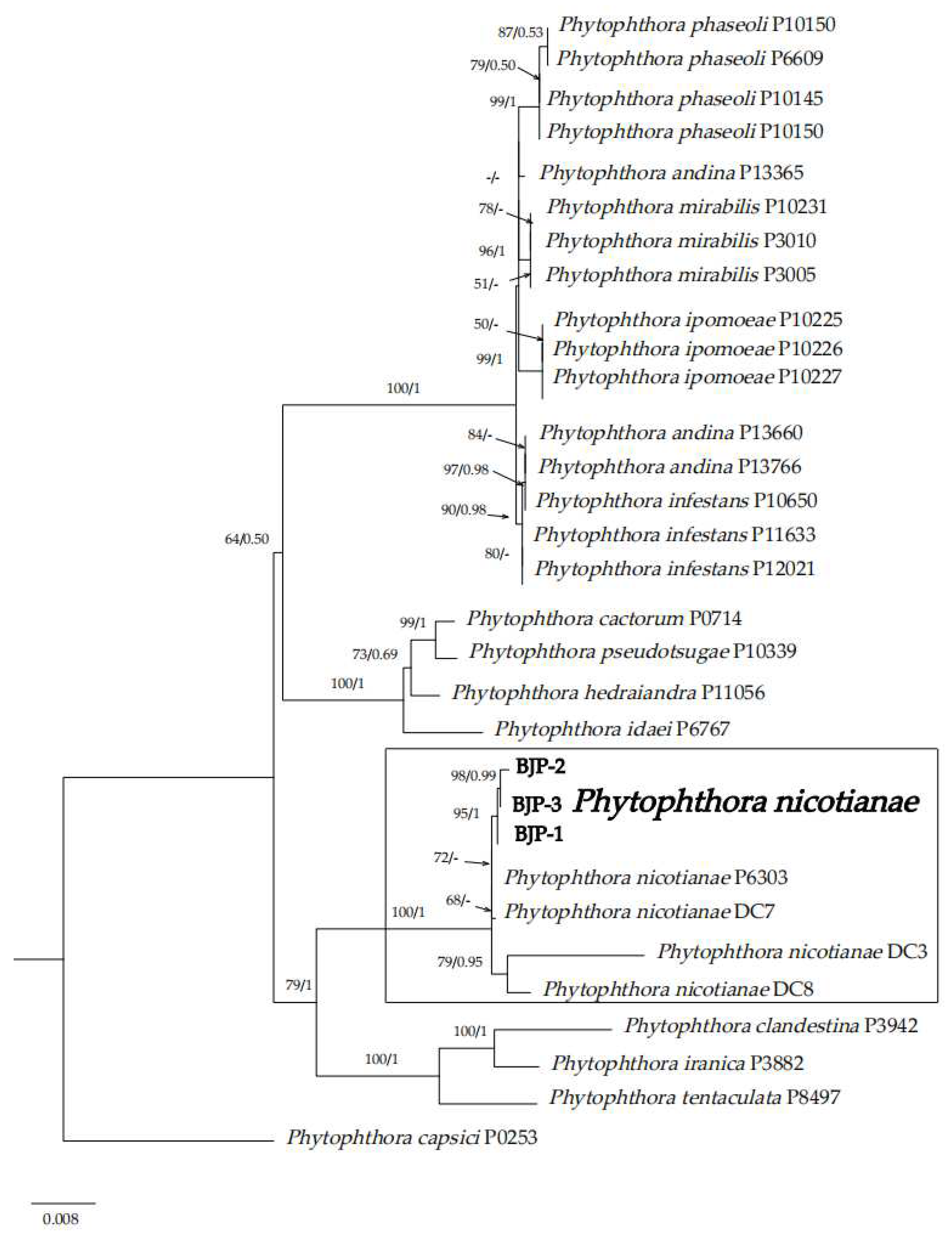 Forests 14 01459 g003 Forests 14 01459 g003