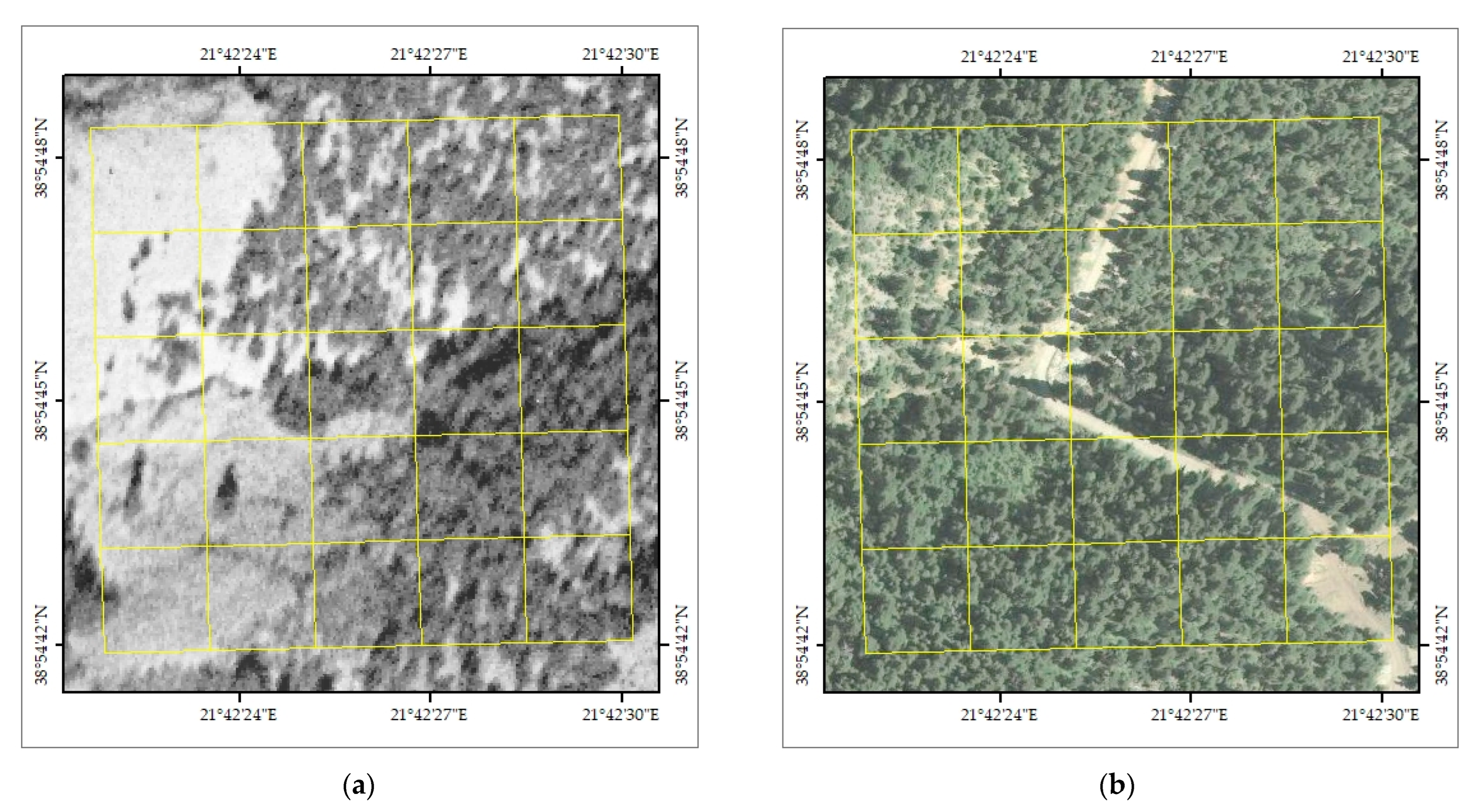 Forests 14 01462 g002