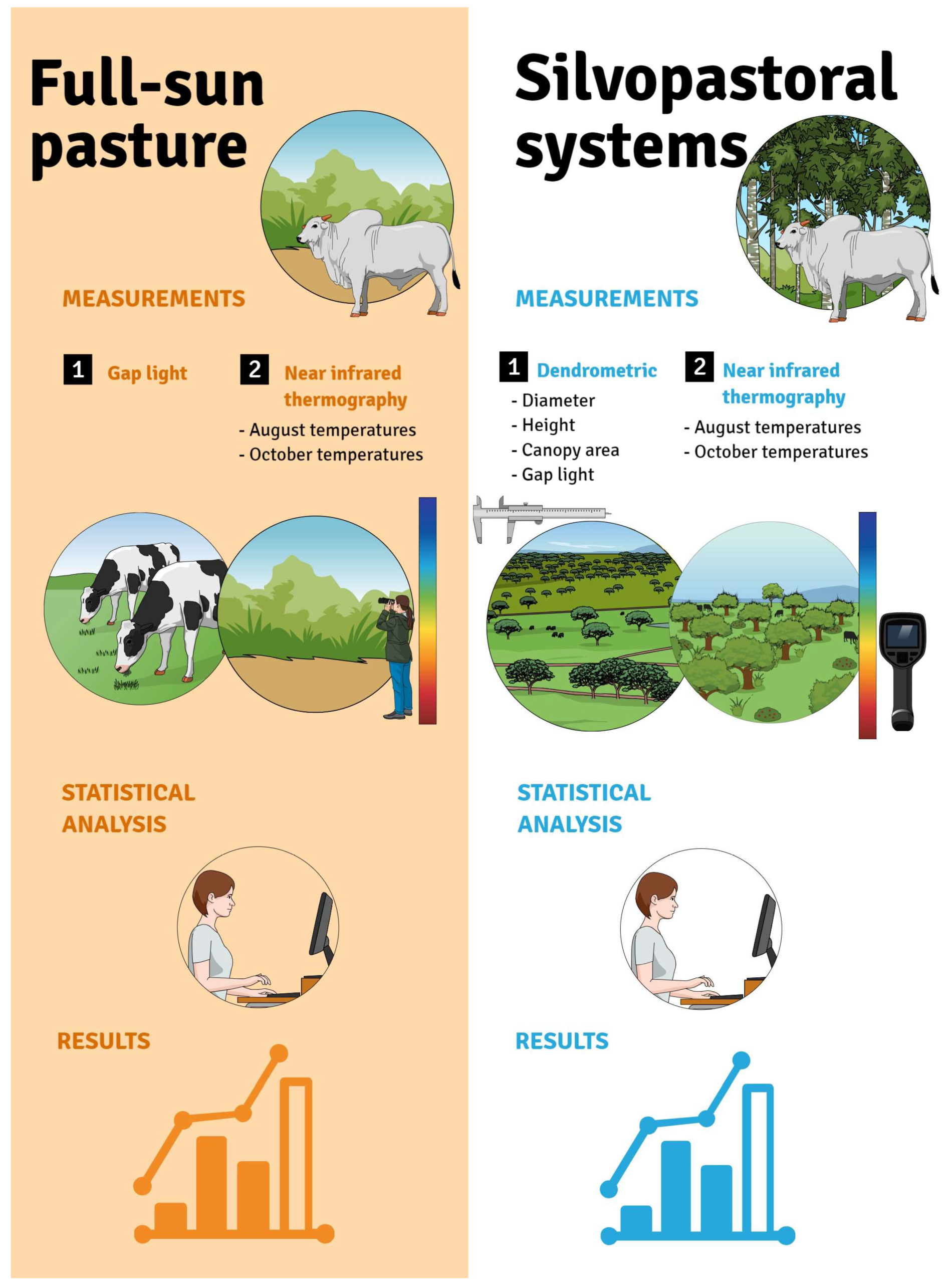 Forests 14 01463 g003 Forests 14 01463 g003