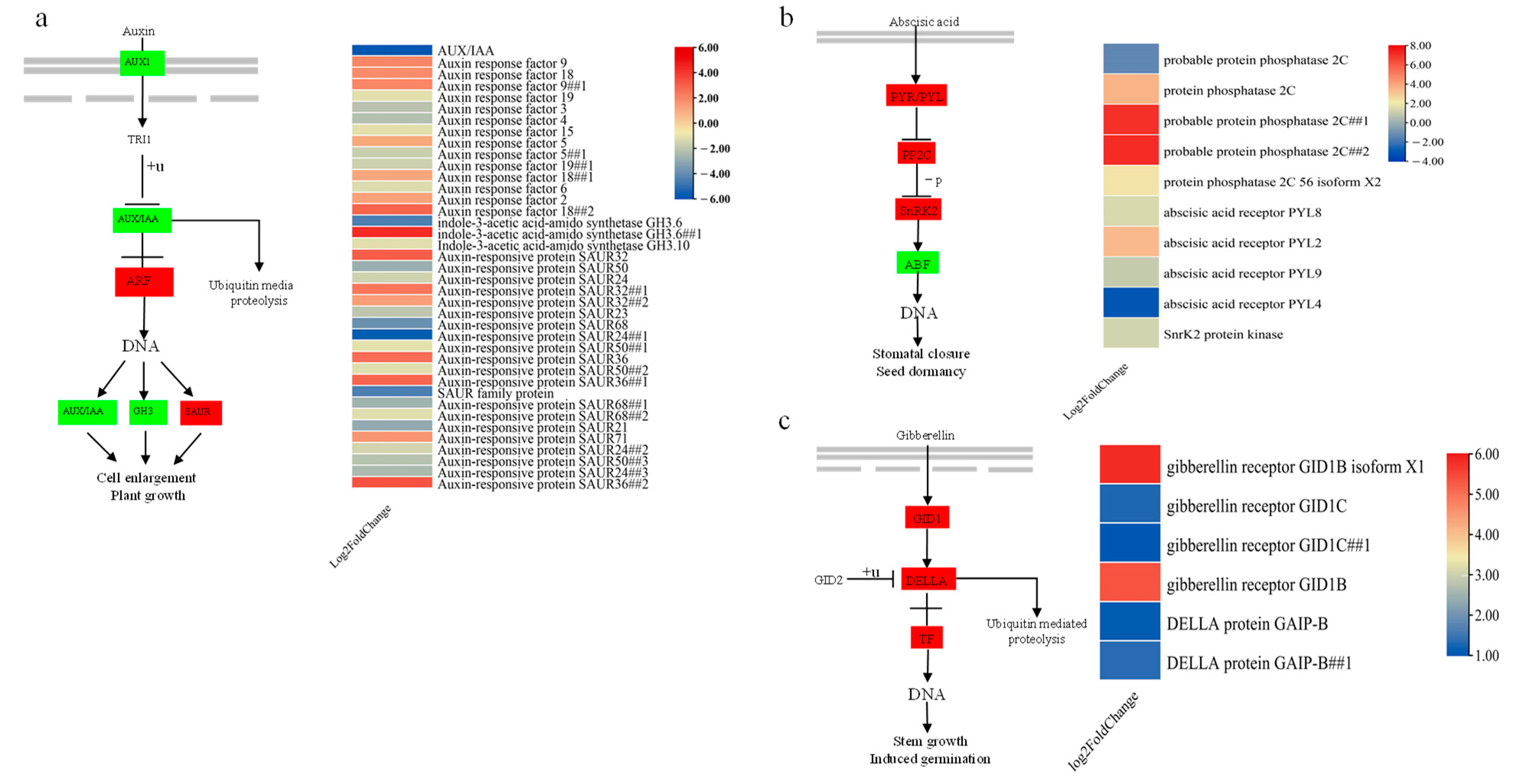 Forests 14 01465 g006