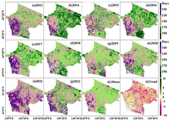 Forest Phenology under Differing Topographic Conditions: A