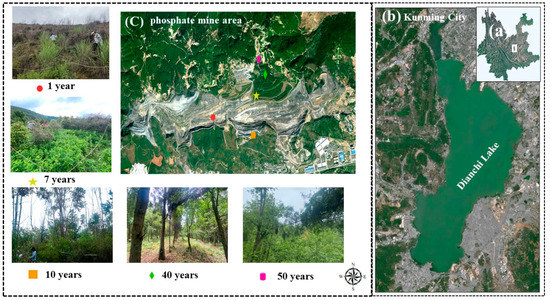 ユウ 1/18 KK-Scale Porsche 911 964 Targa Singer Design (Gold