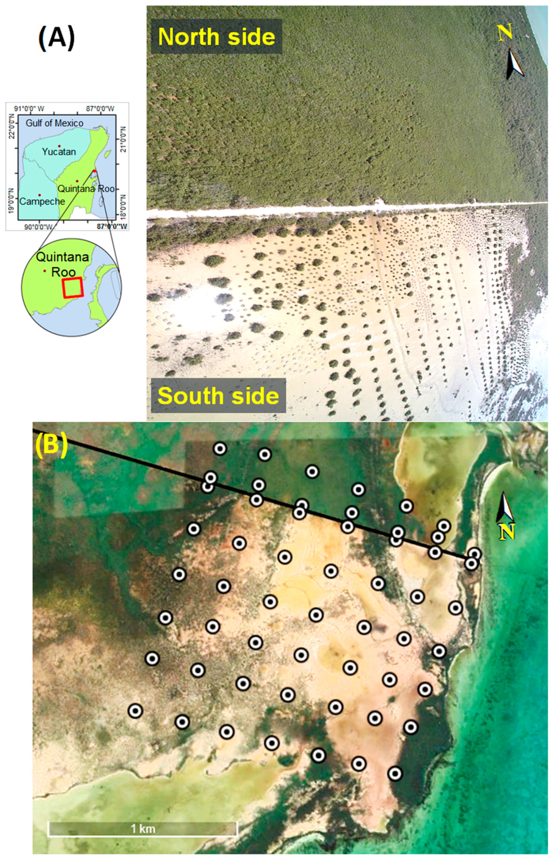 Forests 14 01469 g001