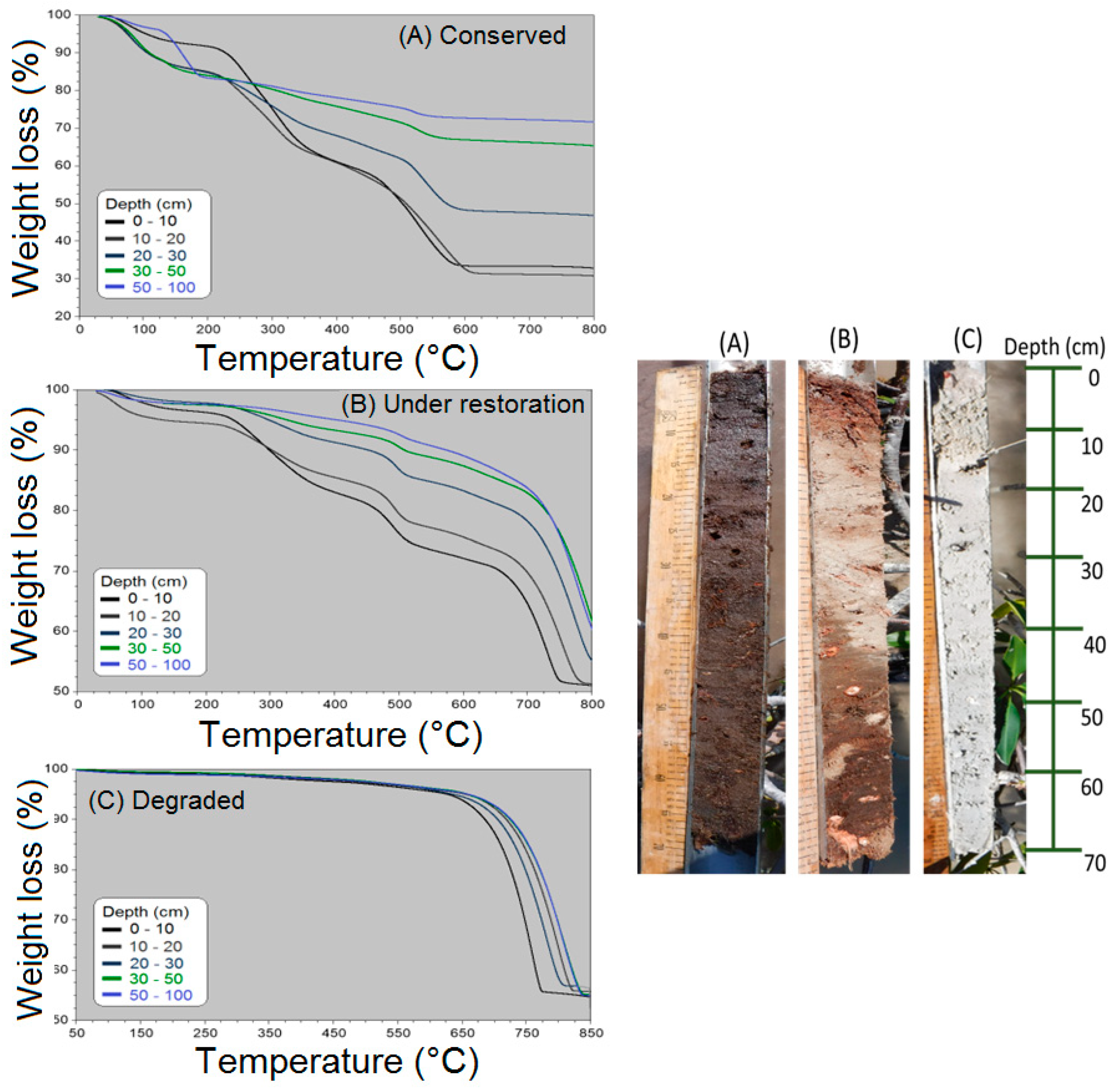 Forests 14 01469 g004