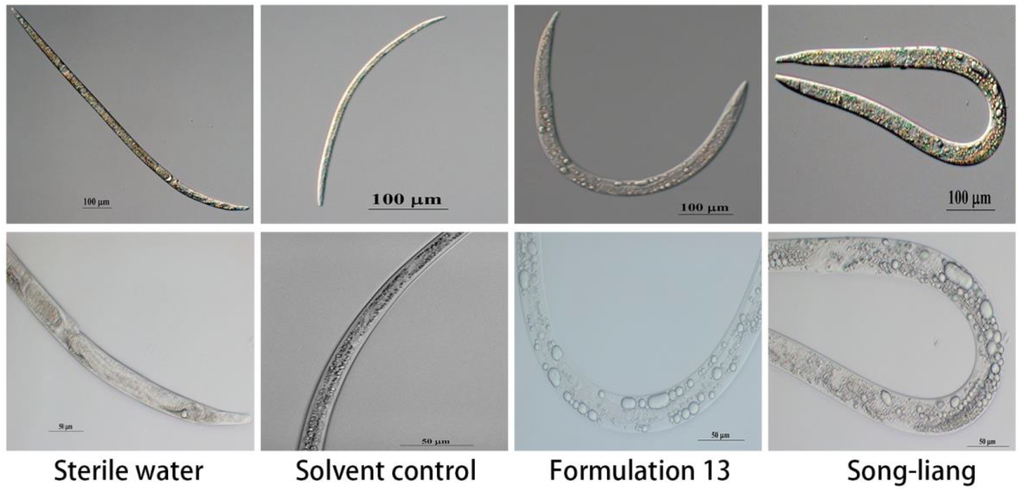 Forests 14 01476 g002