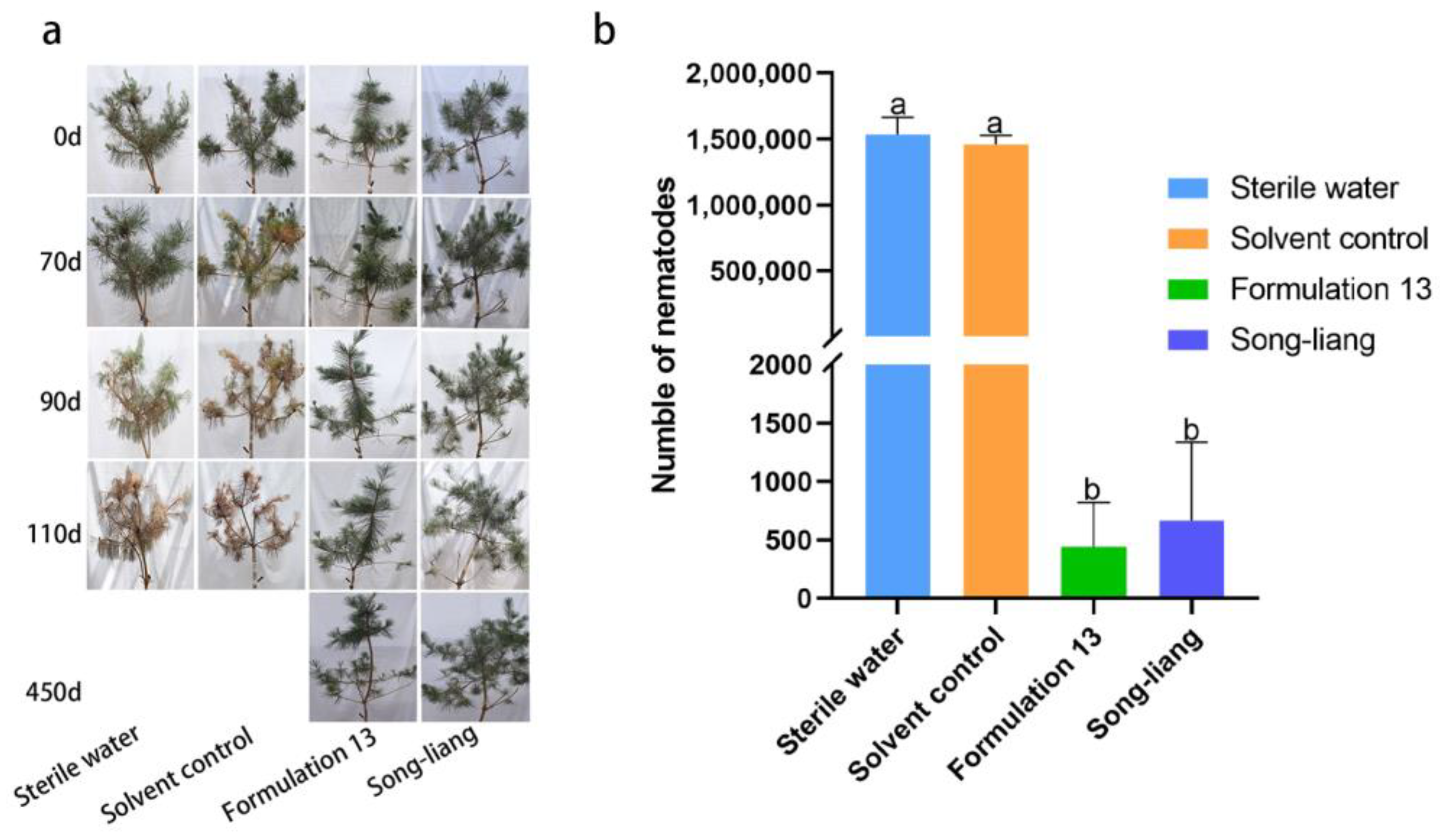 Forests 14 01476 g004