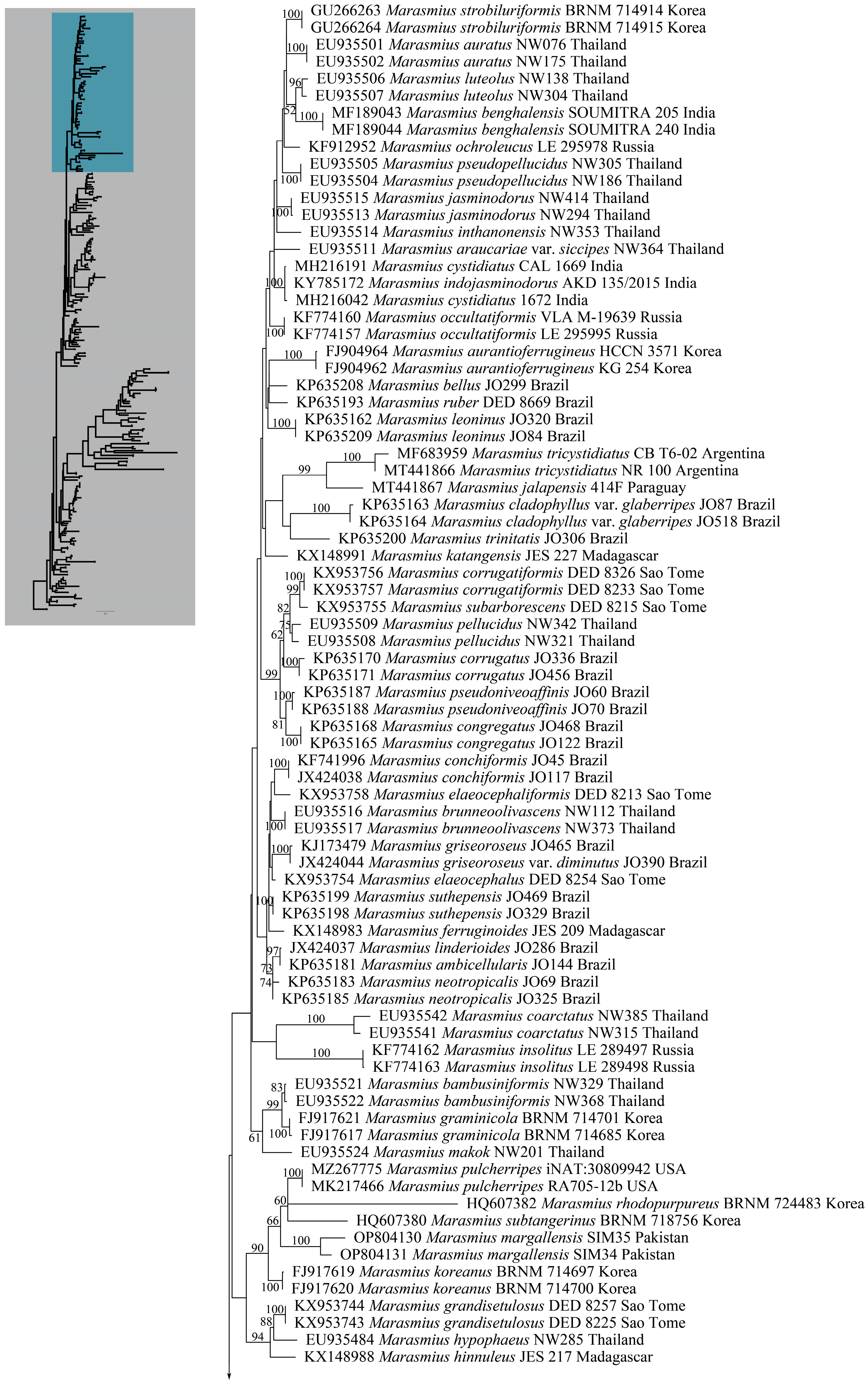 Forests 14 01480 g002a Forests 14 01480 g002a