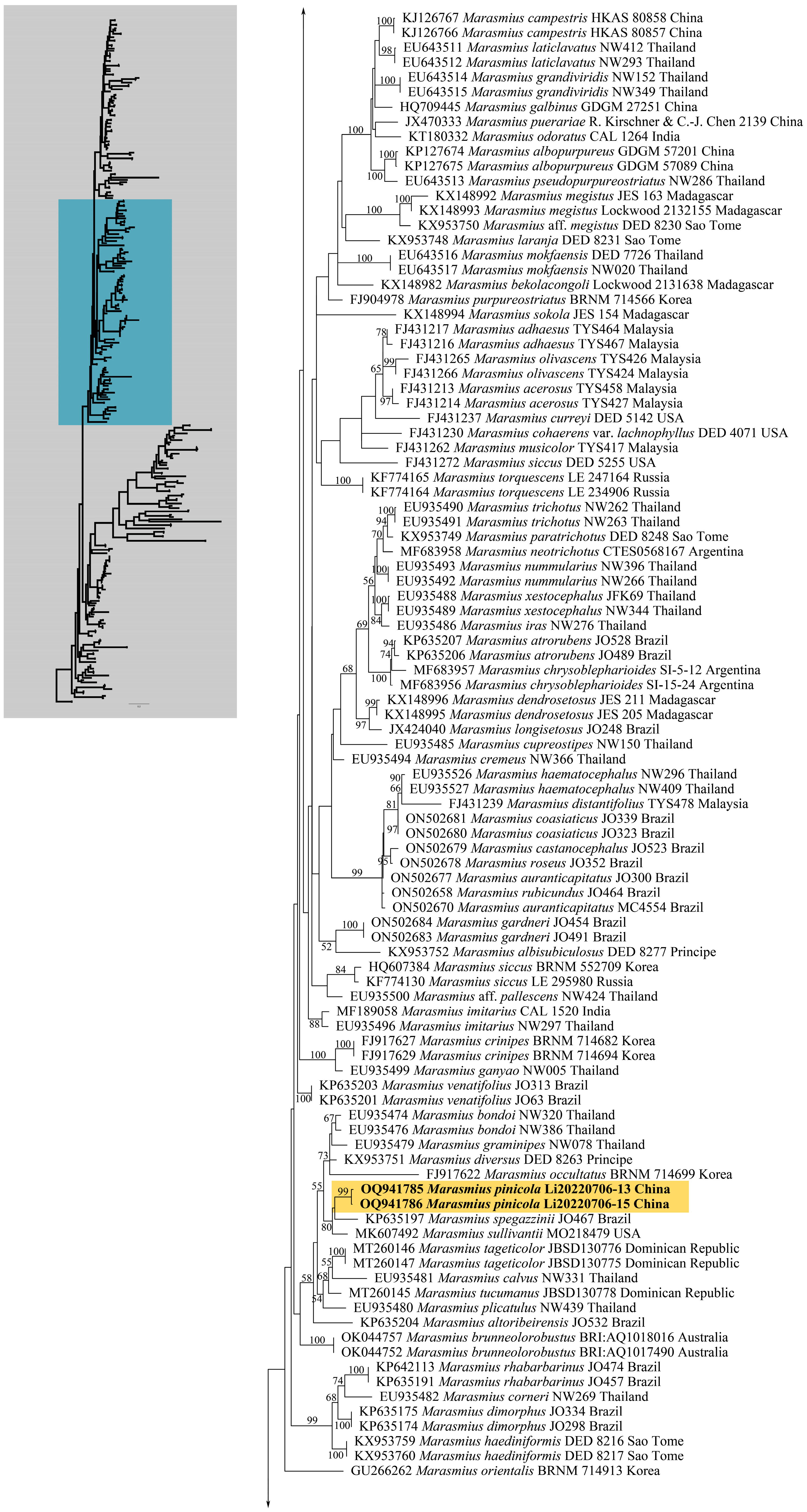 Forests 14 01480 g002b Forests 14 01480 g002b
