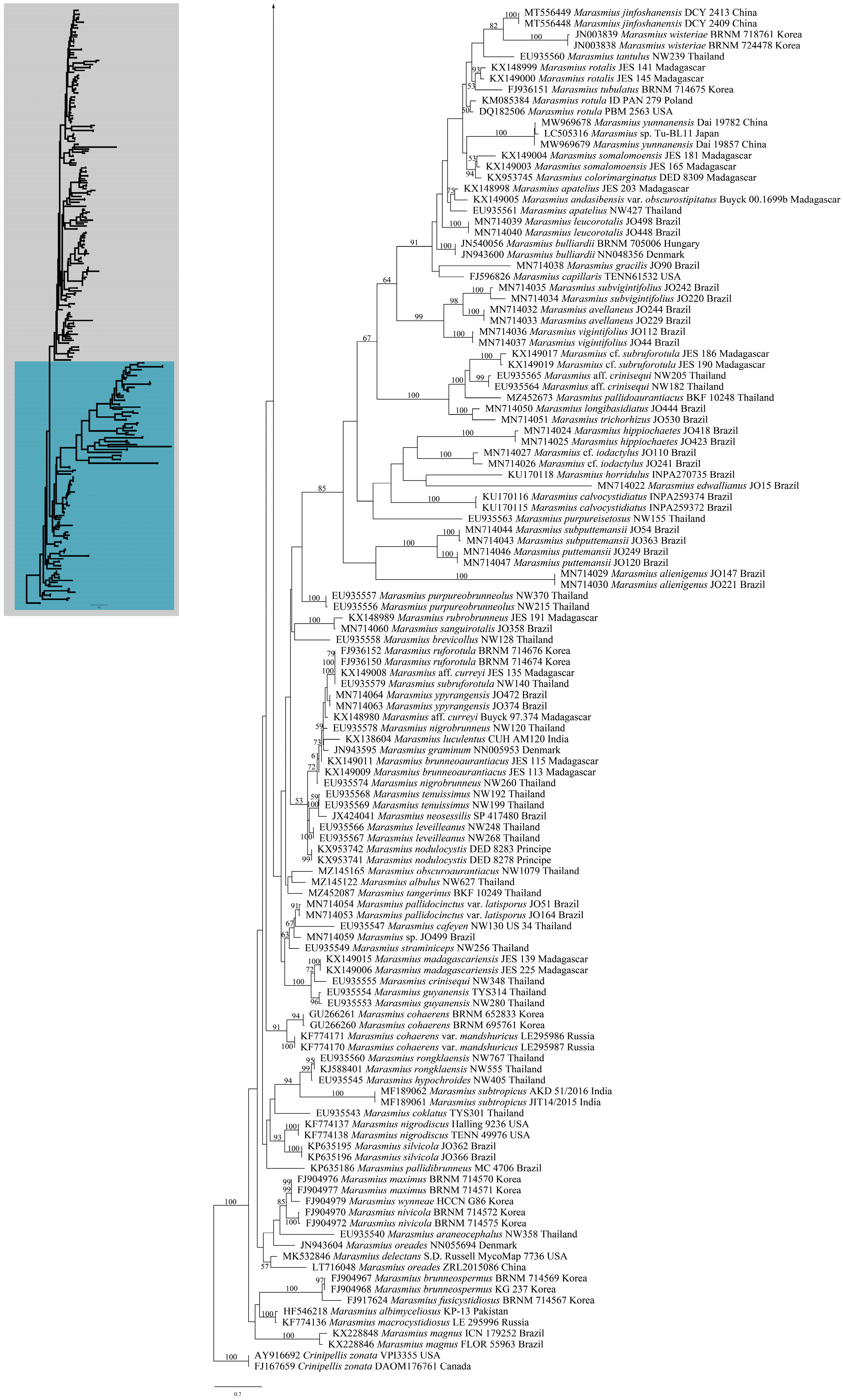 Forests 14 01480 g002c Forests 14 01480 g002c