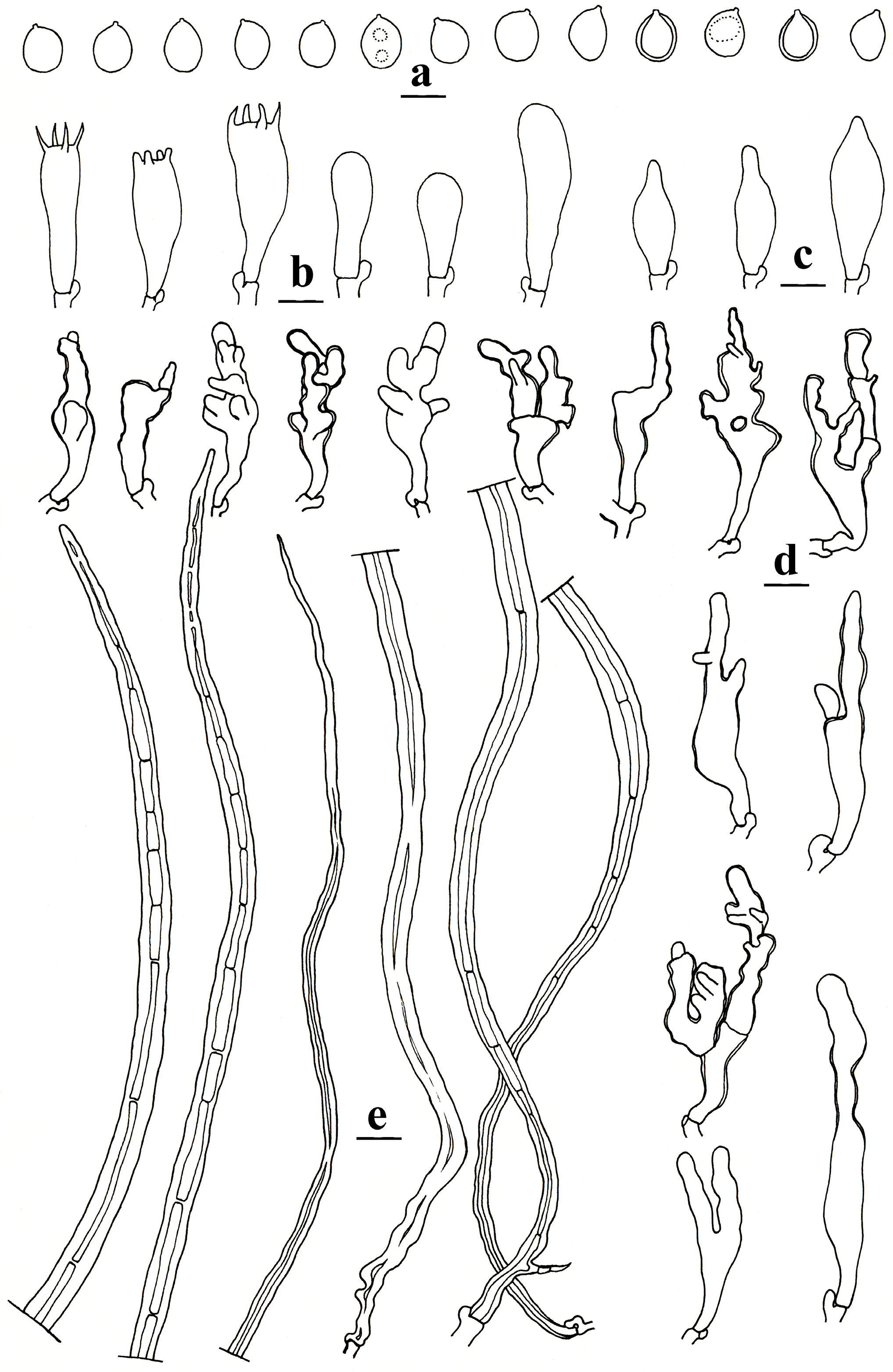 Forests 14 01480 g004 Forests 14 01480 g004