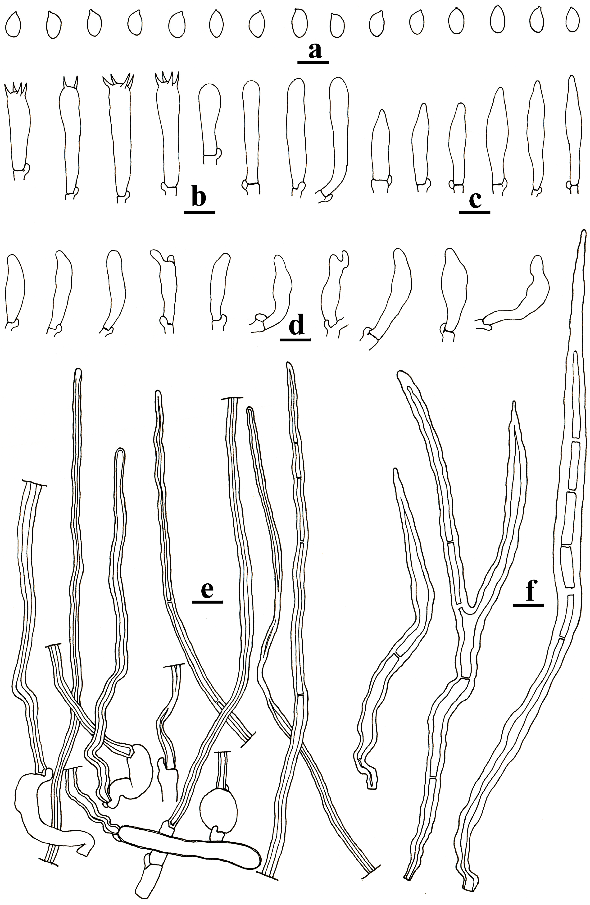 Forests 14 01480 g006 Forests 14 01480 g006