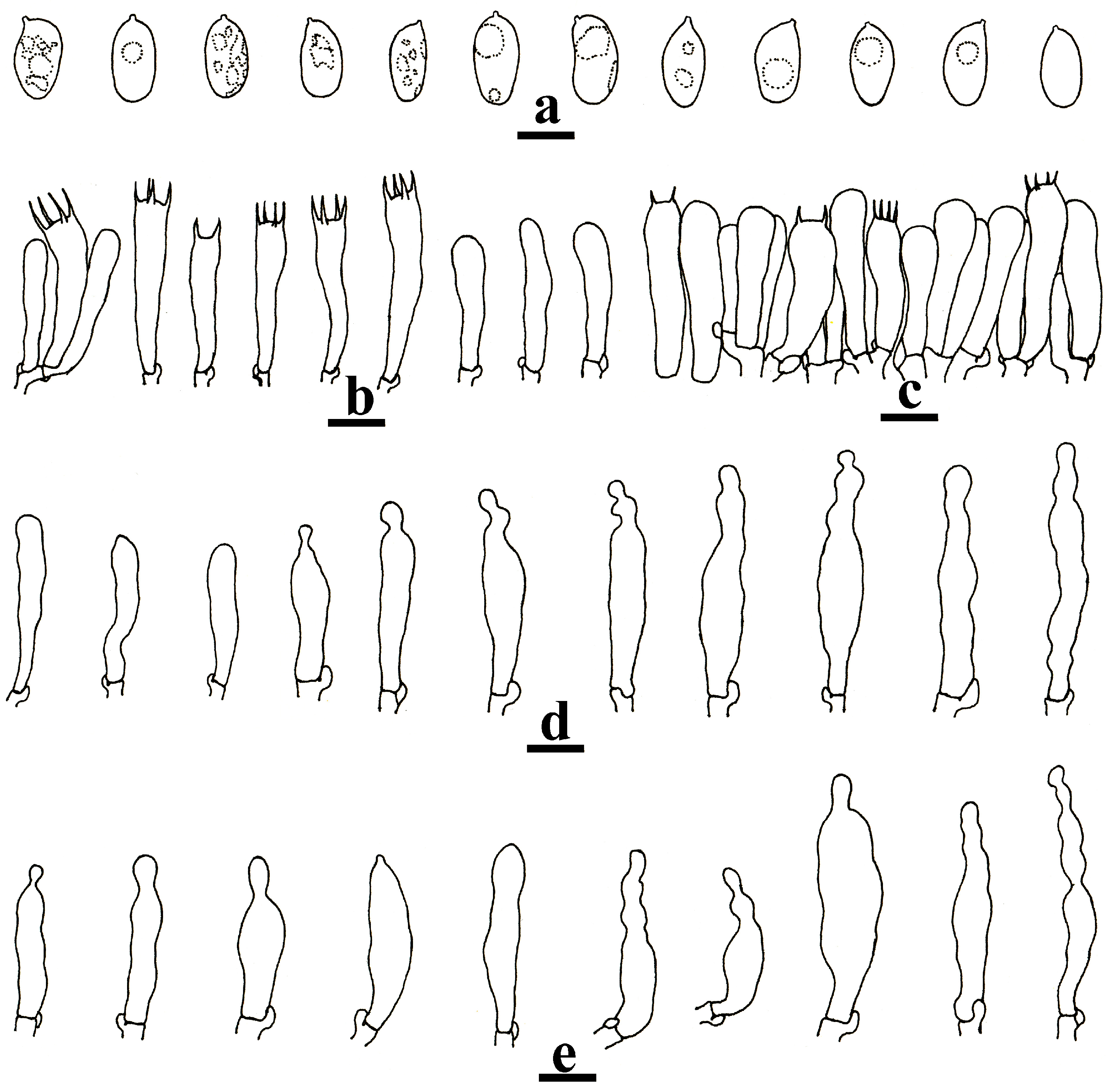 Forests 14 01480 g008 Forests 14 01480 g008