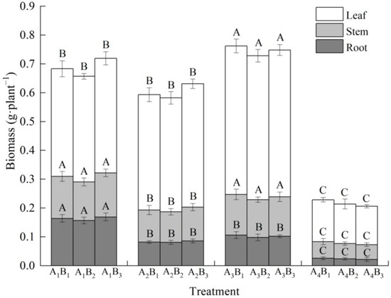 Early Growth Characterization and C:N:P Stoichiometry in