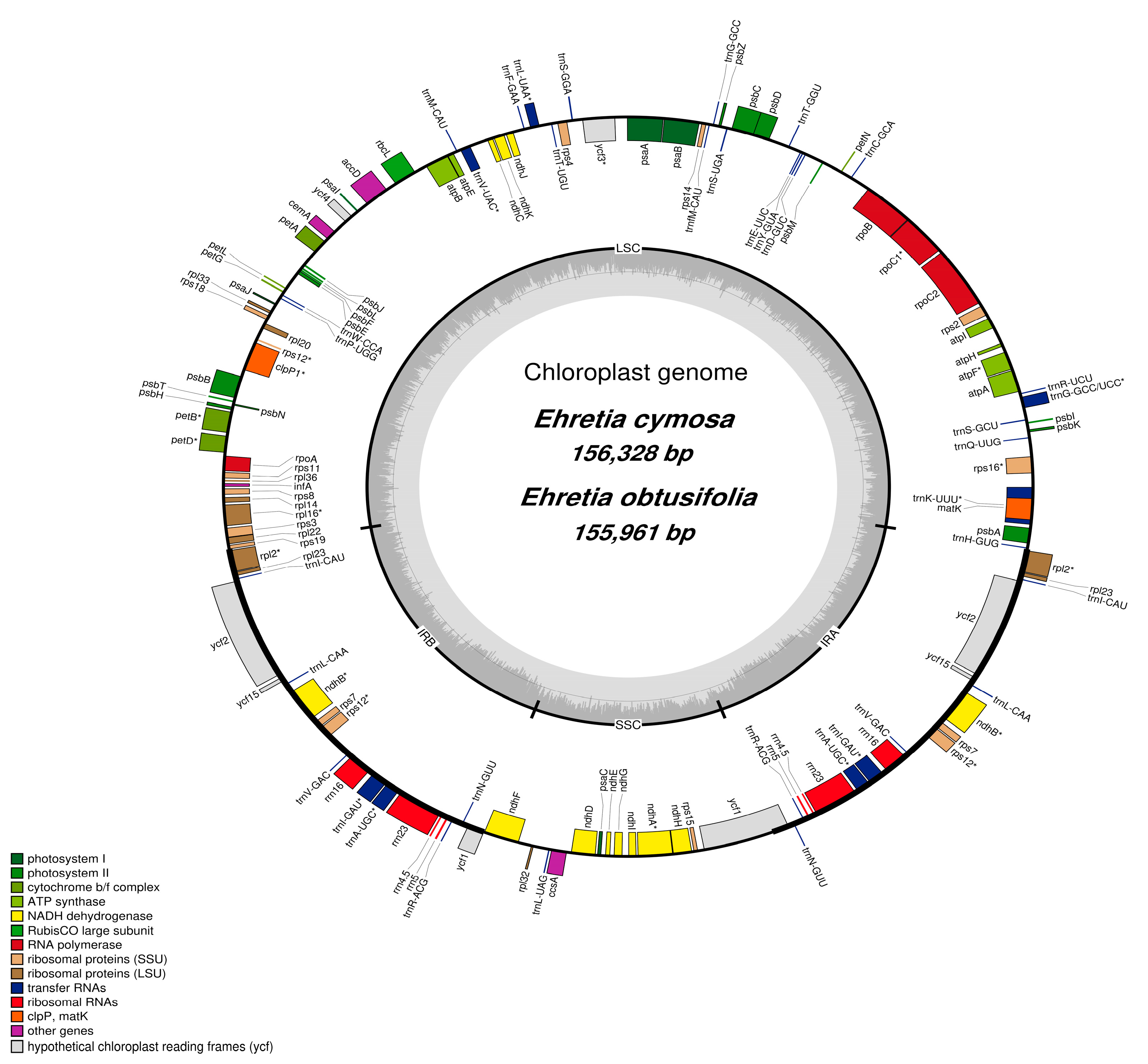 Forests 14 01486 g002 Forests 14 01486 g002