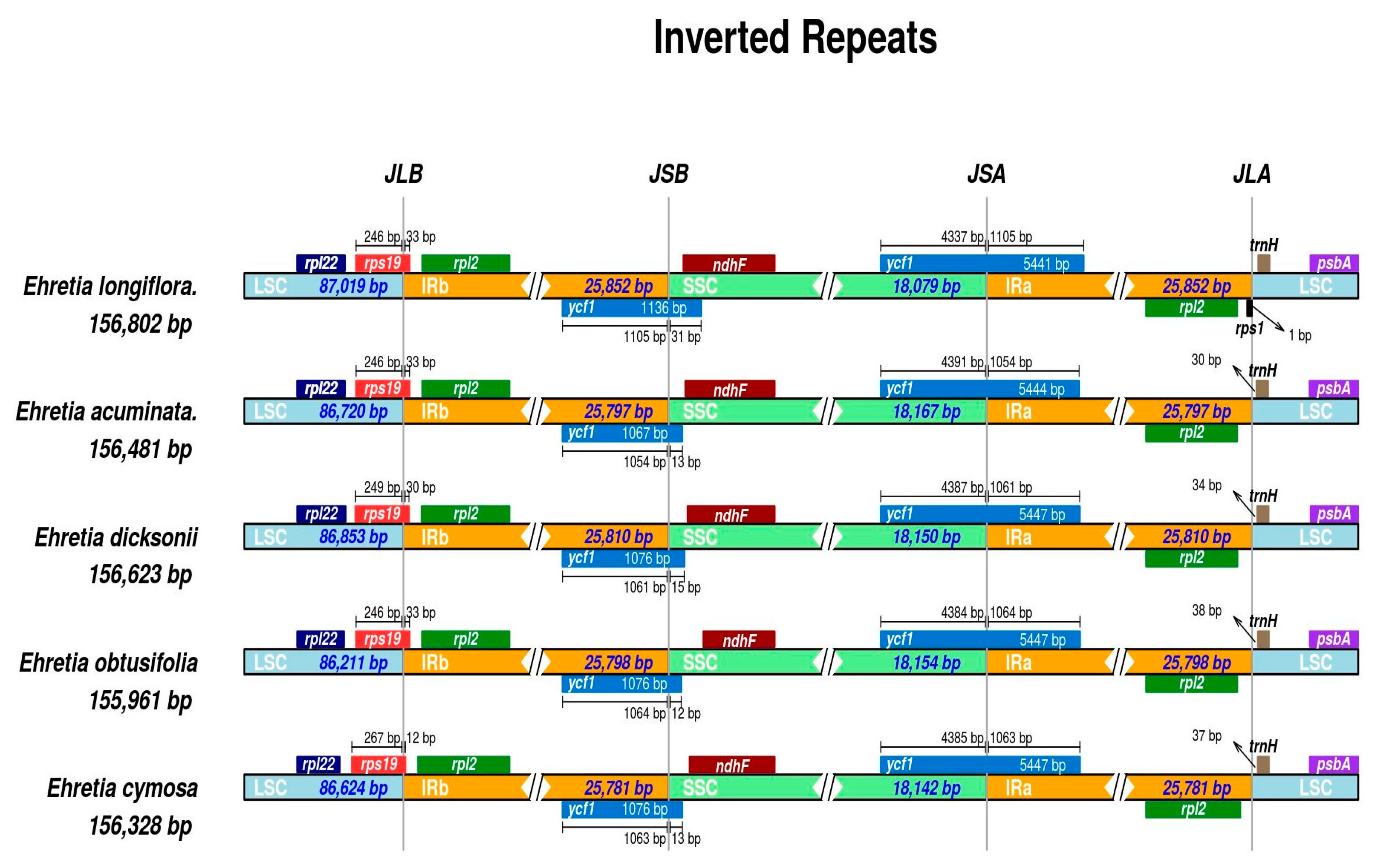 Forests 14 01486 g007 Forests 14 01486 g007