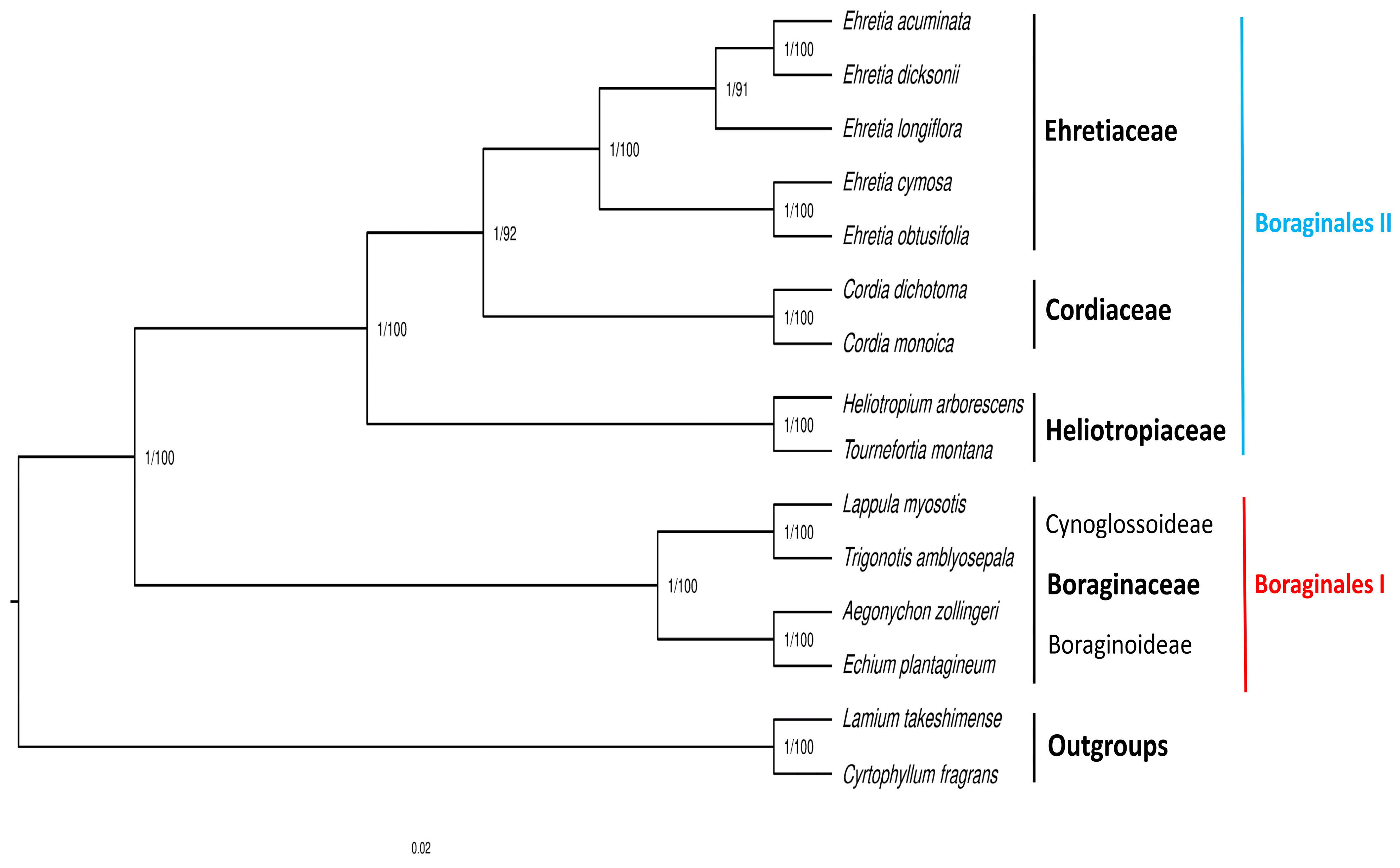 Forests 14 01486 g010 Forests 14 01486 g010