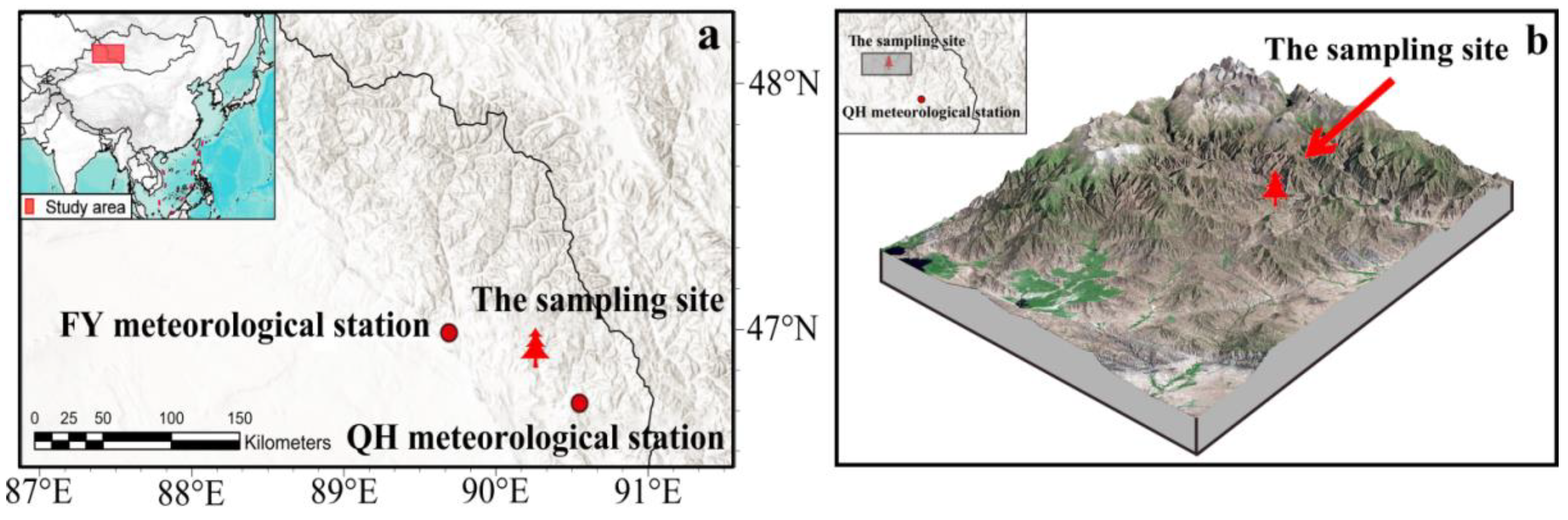 Forests 14 01496 g001