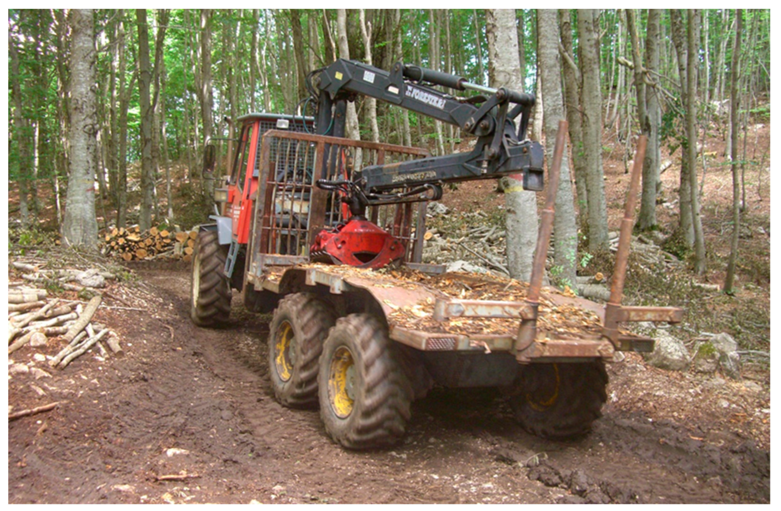 Forests 14 01503 g004 Forests 14 01503 g004