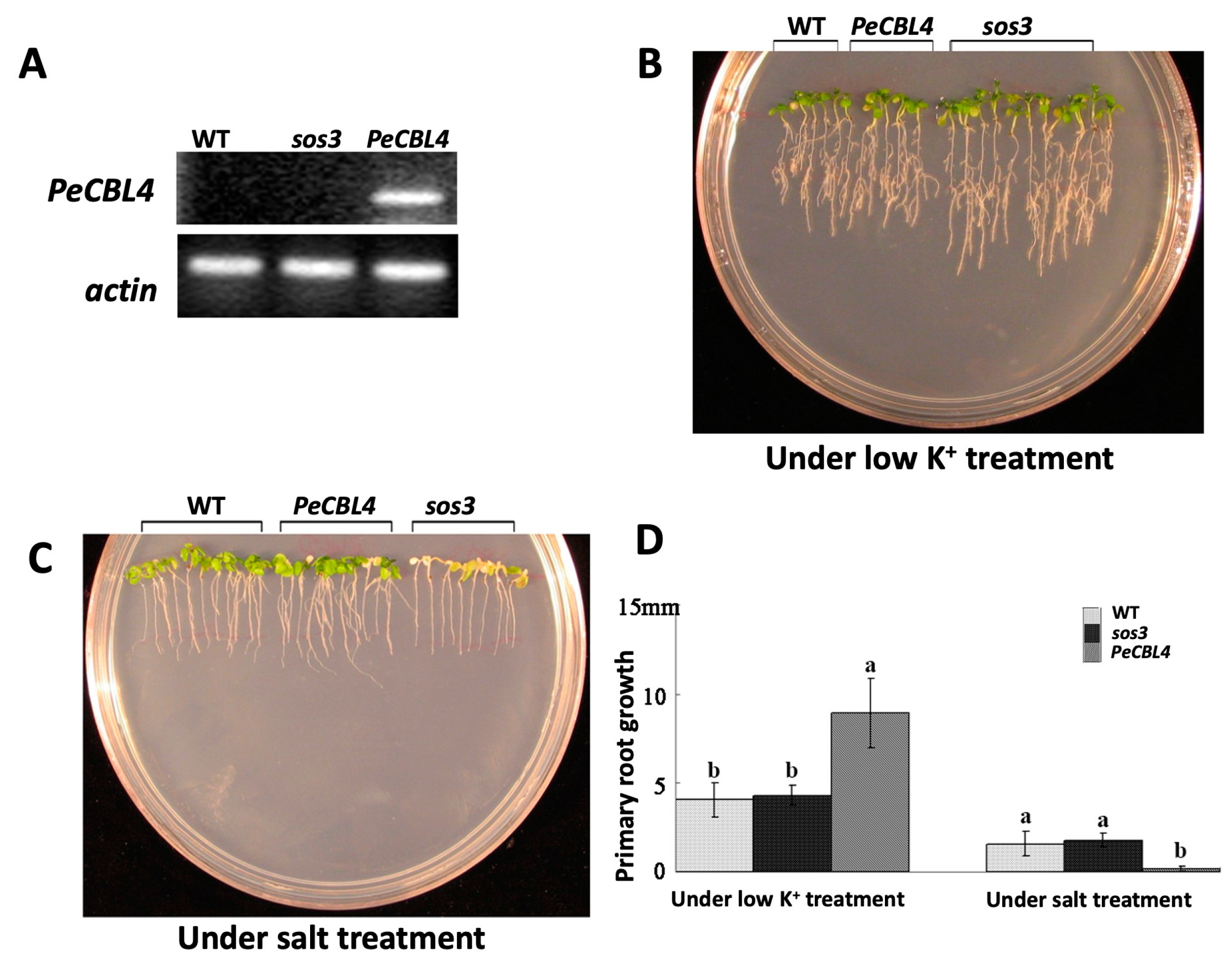 Forests 14 01504 g004 Forests 14 01504 g004