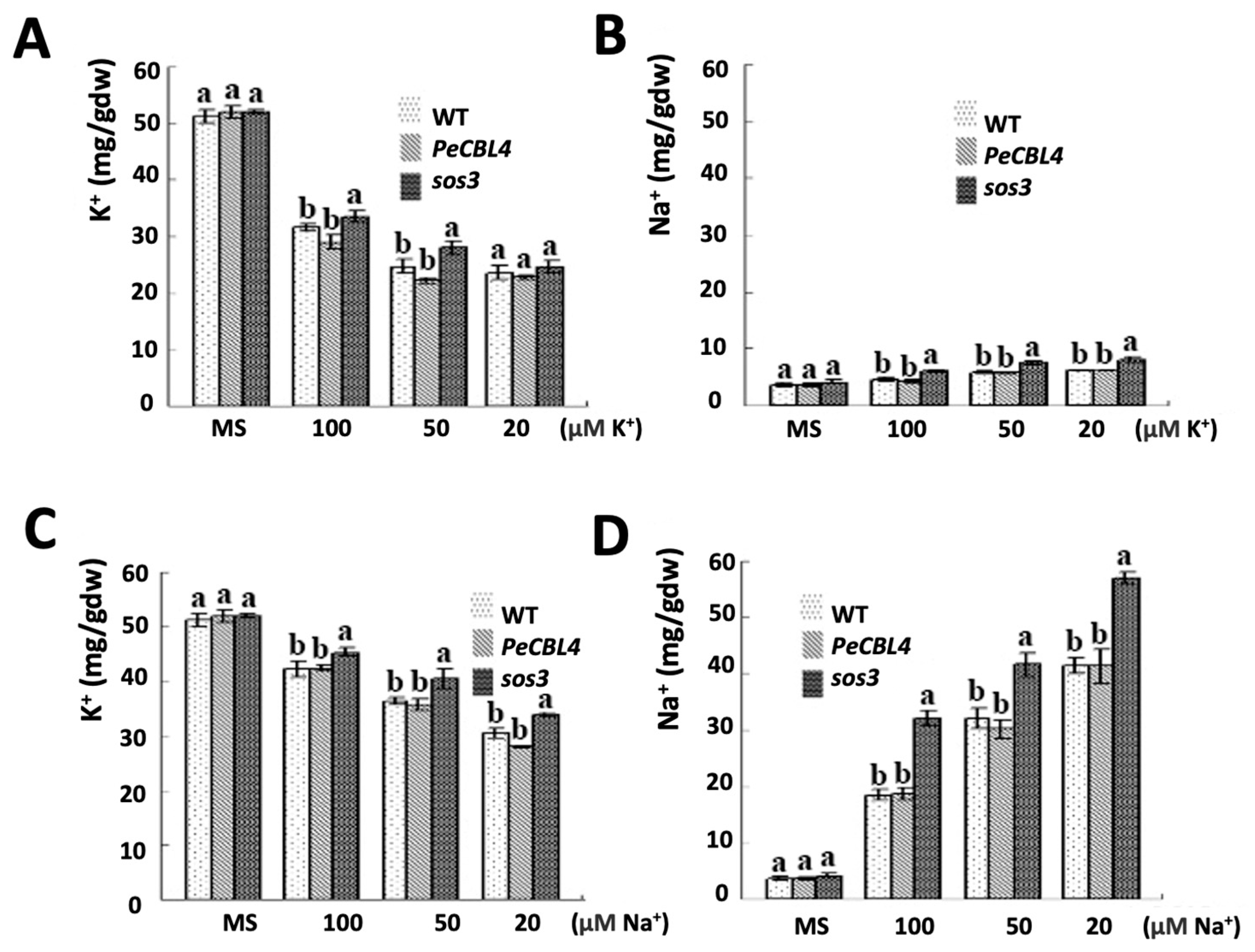 Forests 14 01504 g005 Forests 14 01504 g005