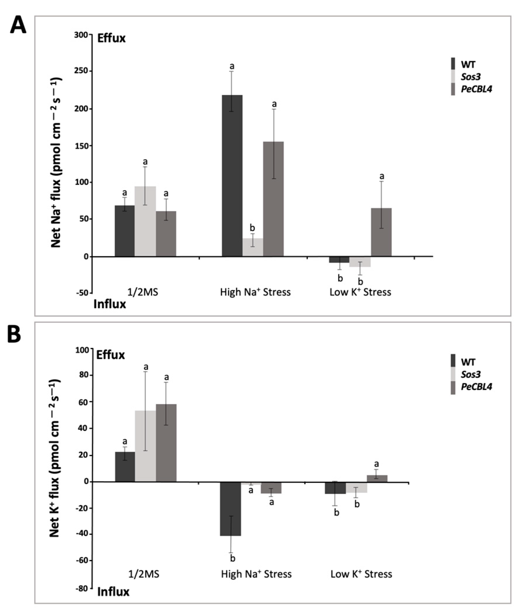 Forests 14 01504 g006 Forests 14 01504 g006