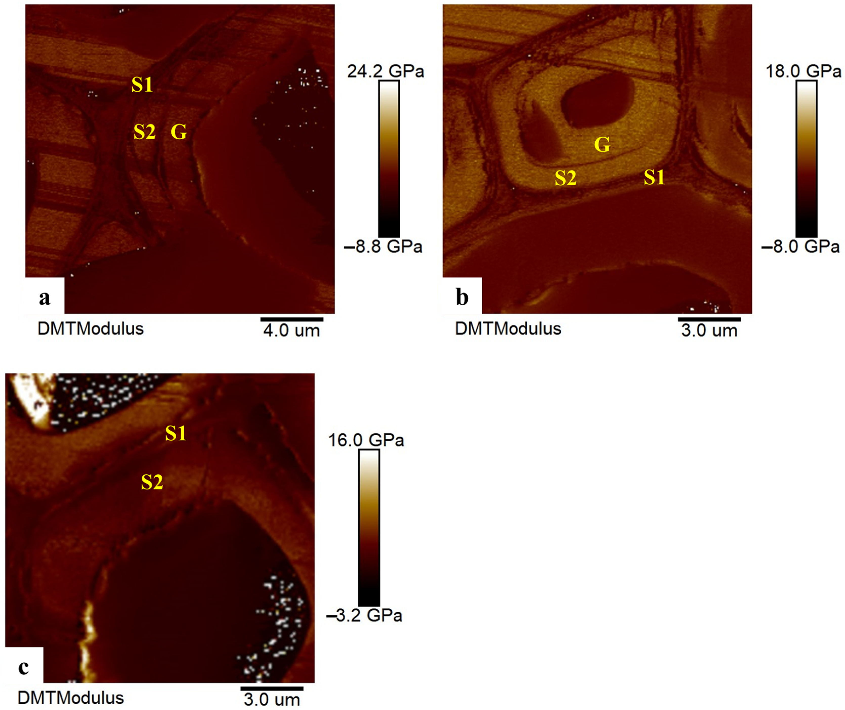 Forests 14 01505 g007
