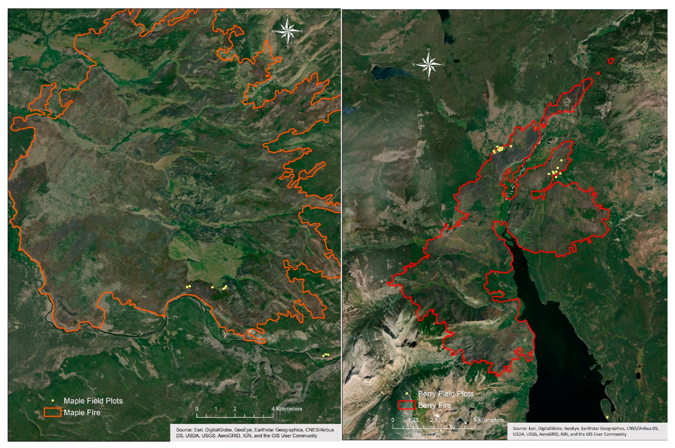 Forests 14 01508 g002 Forests 14 01508 g002