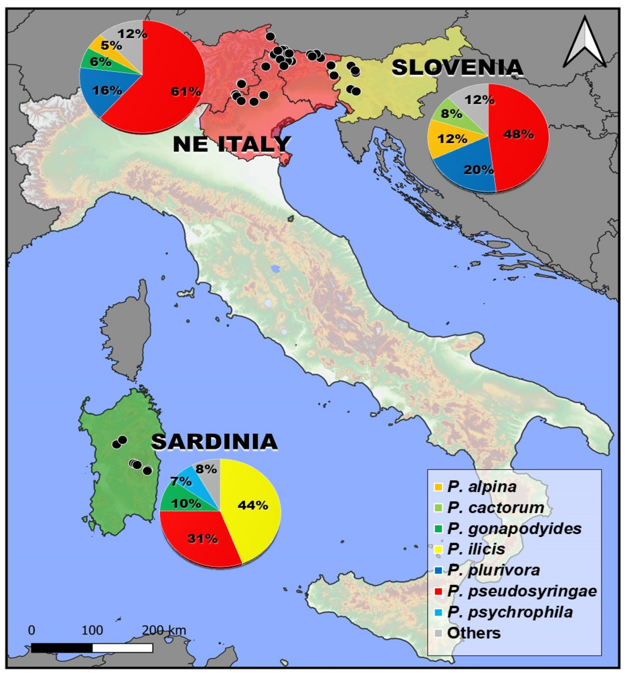 Forests 14 01515 g002 Forests 14 01515 g002