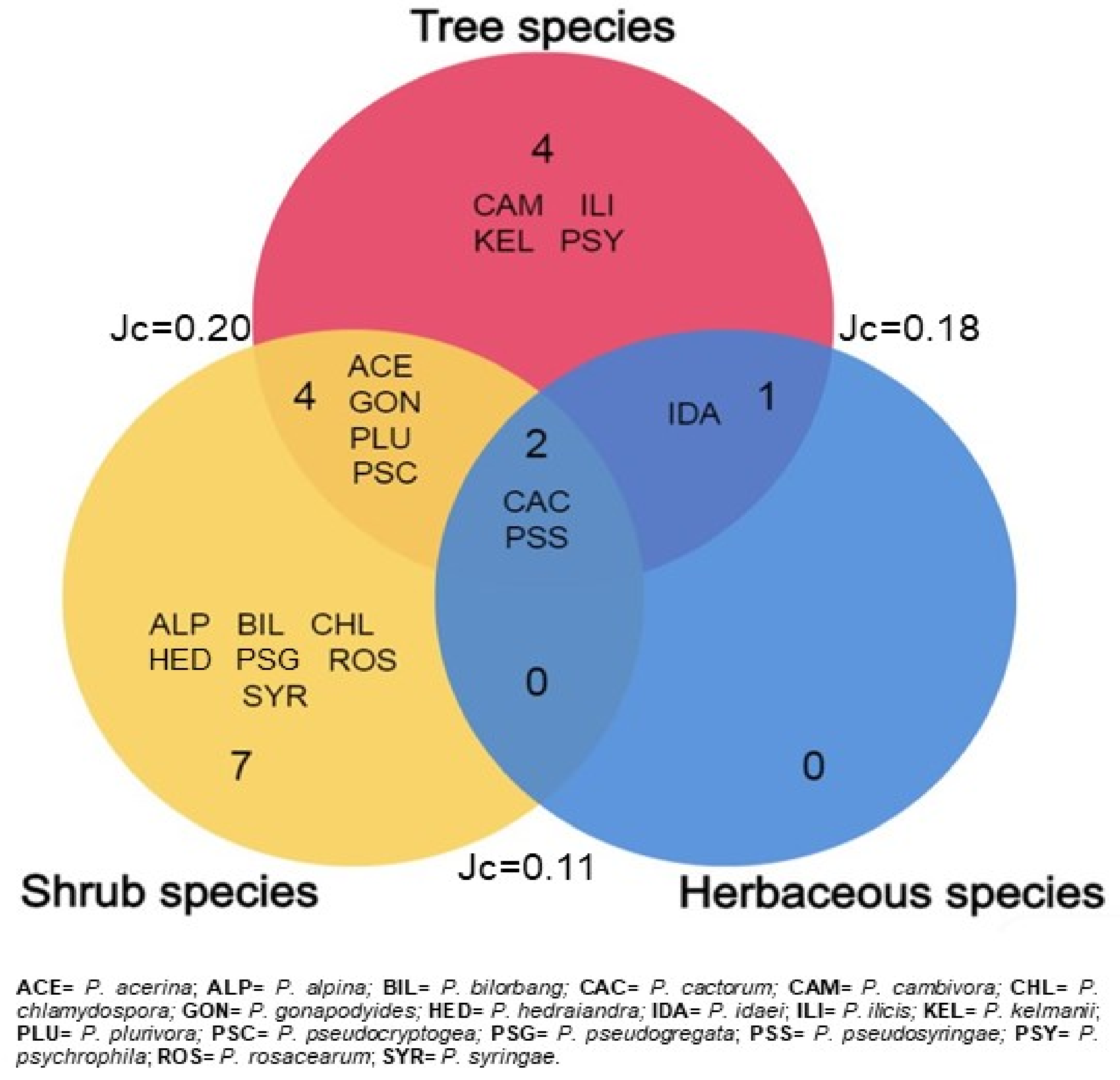 Forests 14 01515 g003 Forests 14 01515 g003
