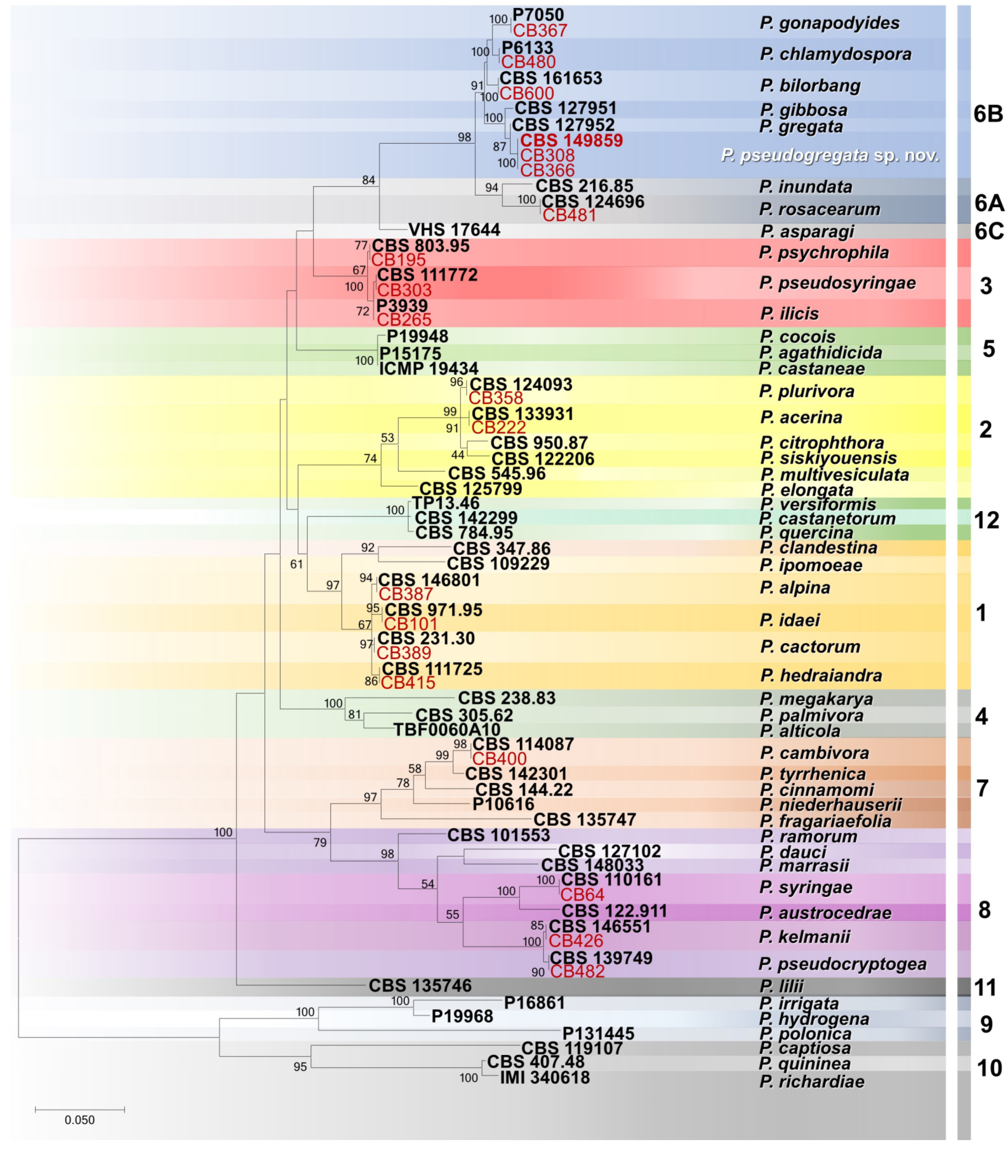 Forests 14 01515 g004 Forests 14 01515 g004