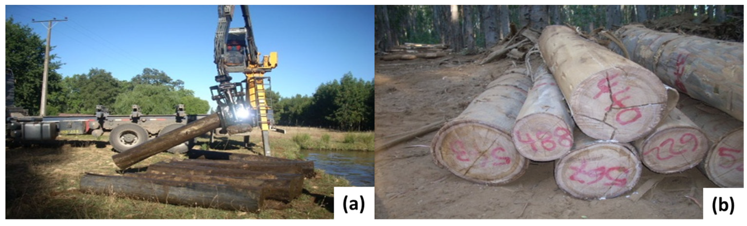 Forests 14 01517 g001 Forests 14 01517 g001