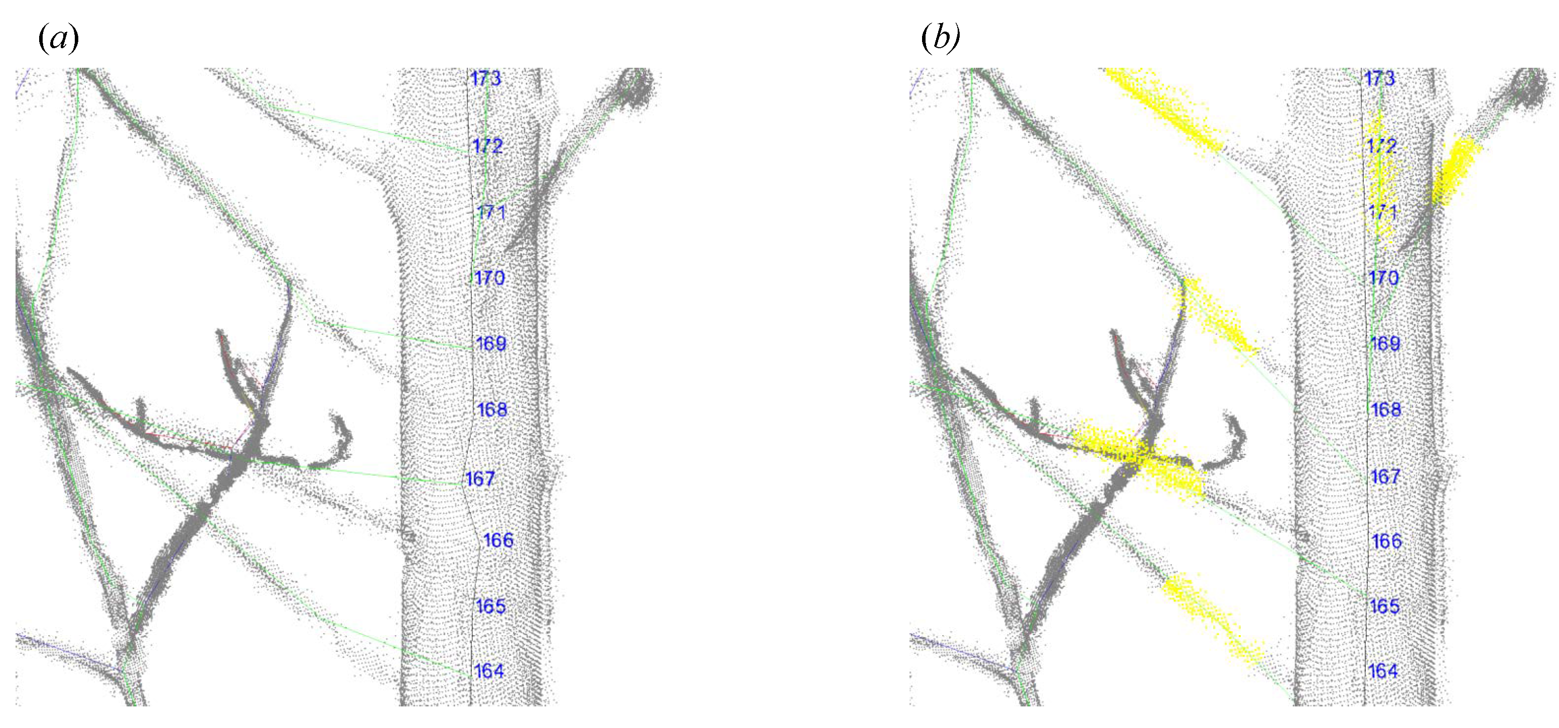 Forests 14 01525 g006 Forests 14 01525 g006