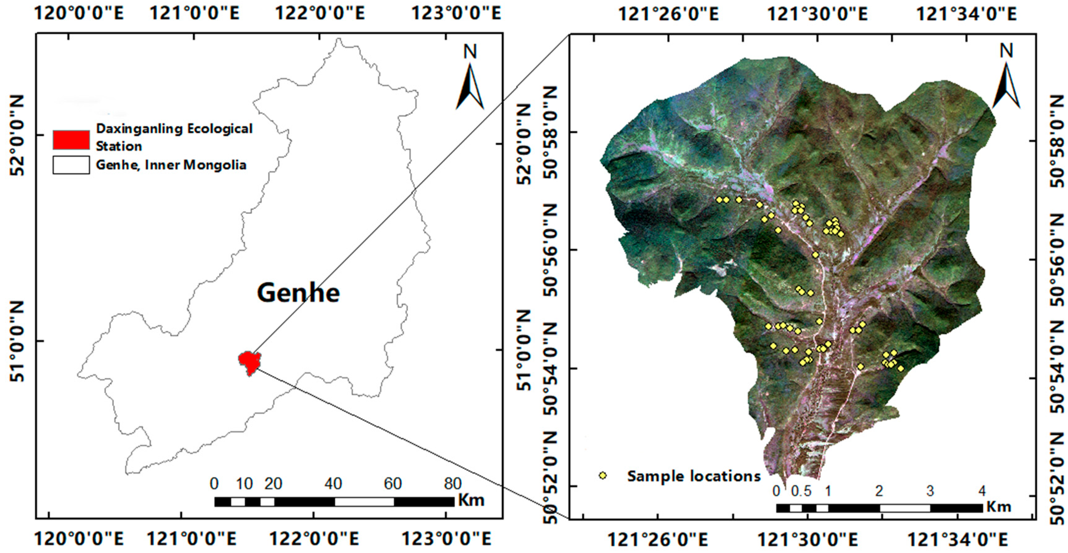 Forests 14 01527 g001 Forests 14 01527 g001