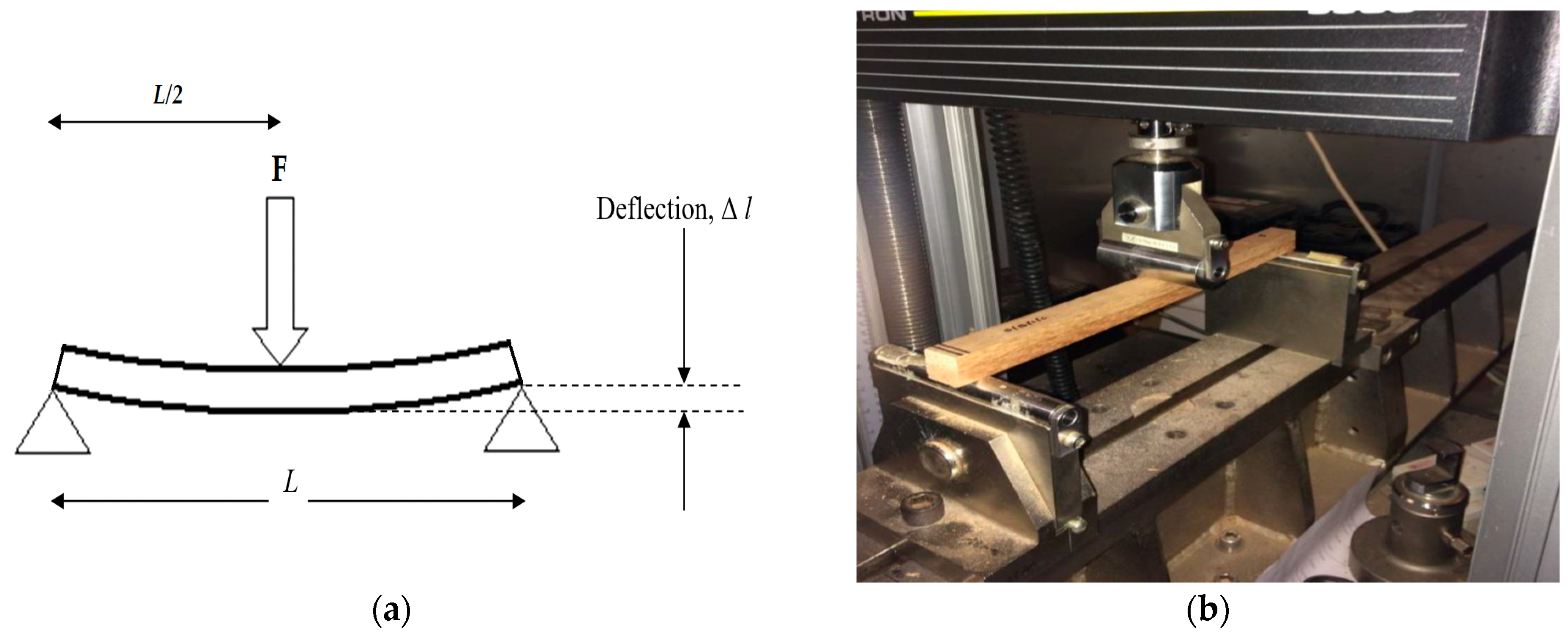 Forests 14 01529 g003 Forests 14 01529 g003