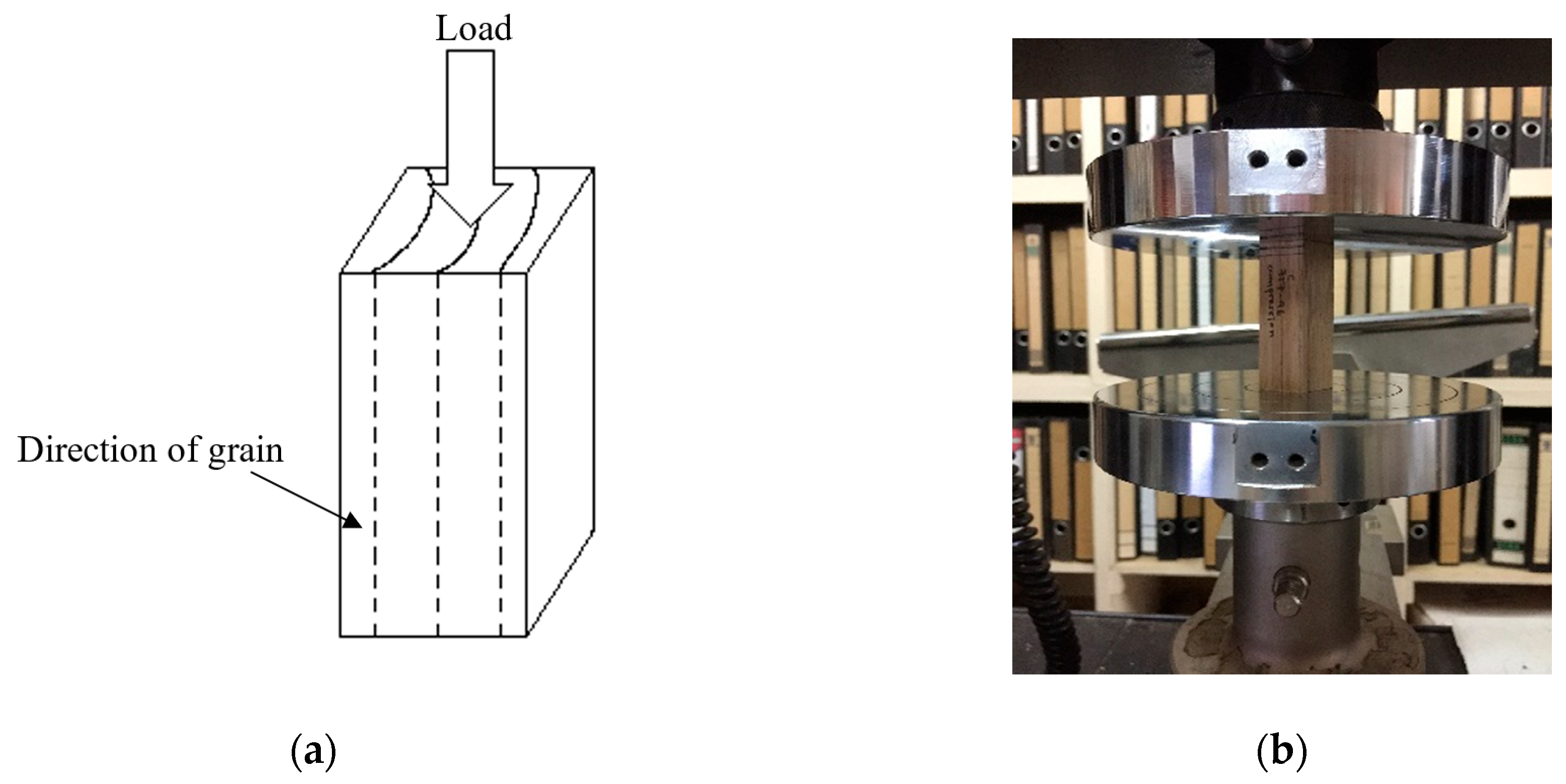 Forests 14 01529 g004 Forests 14 01529 g004