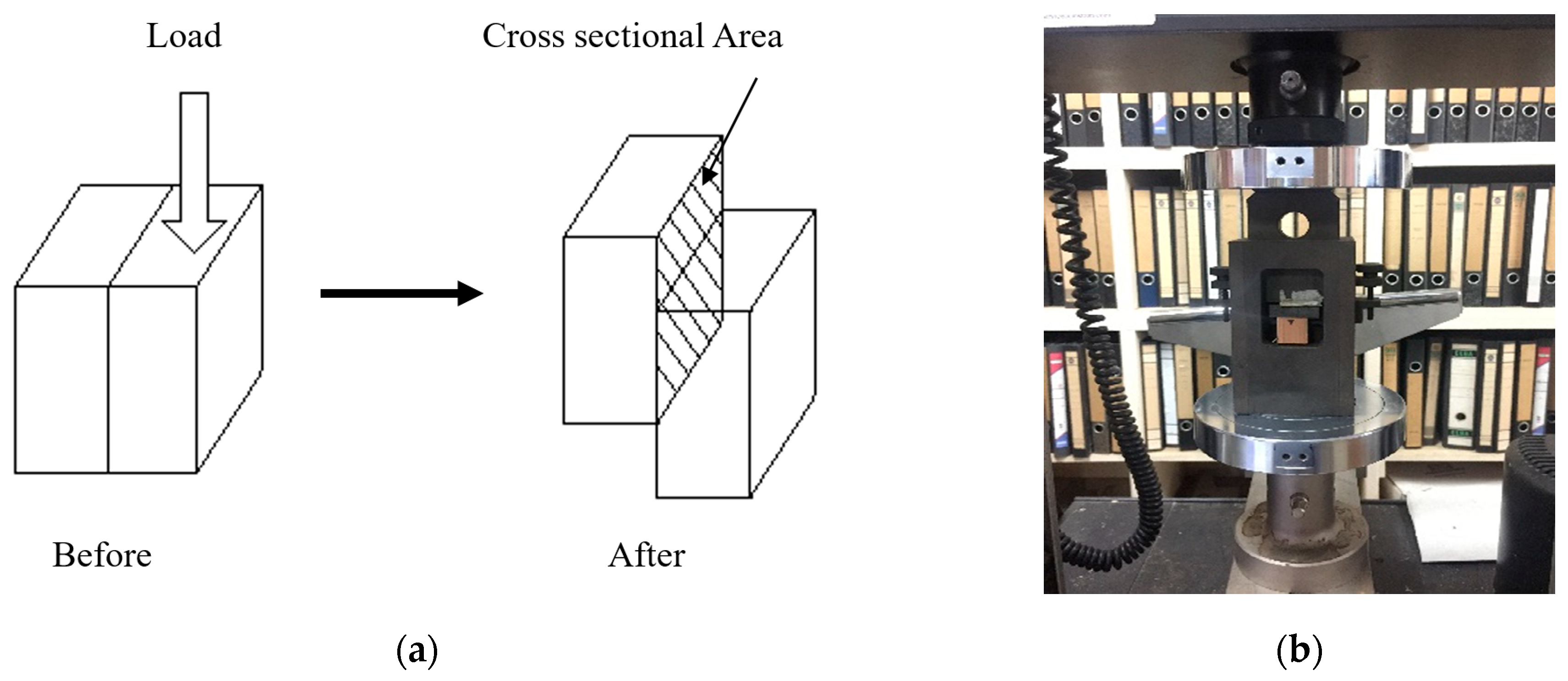 Forests 14 01529 g005 Forests 14 01529 g005