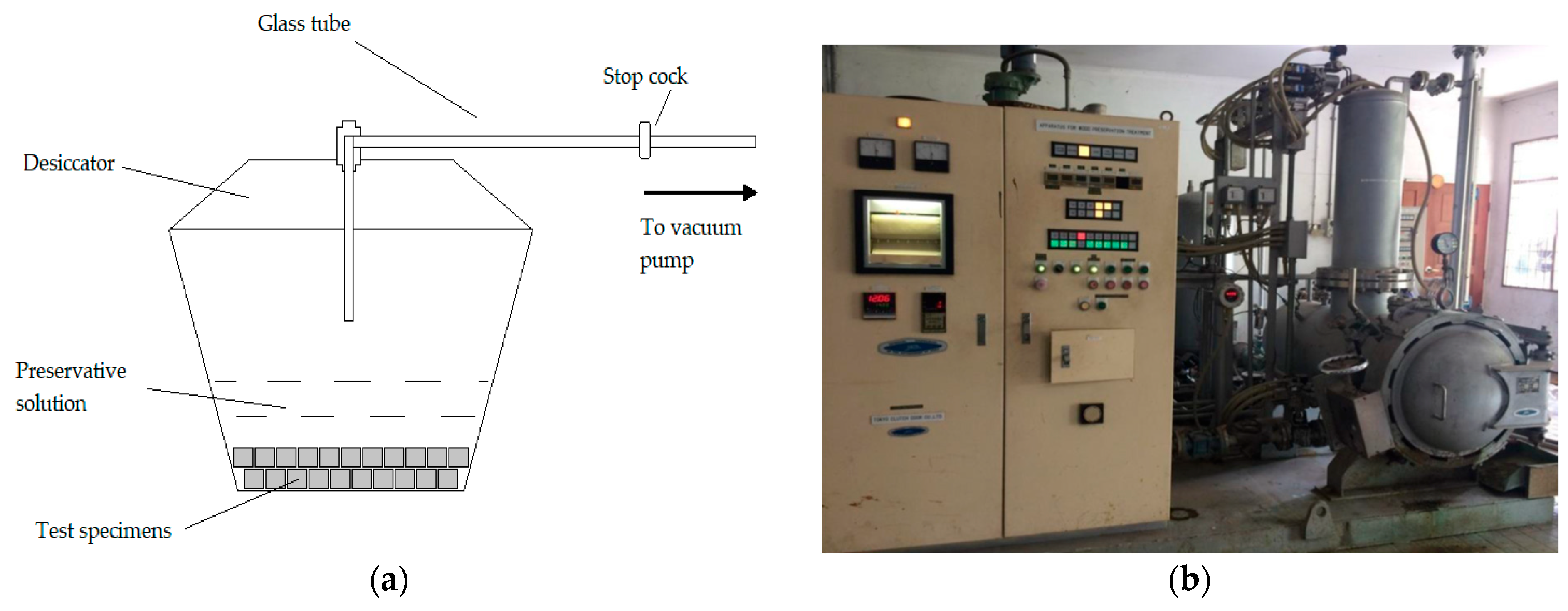 Forests 14 01529 g006 Forests 14 01529 g006