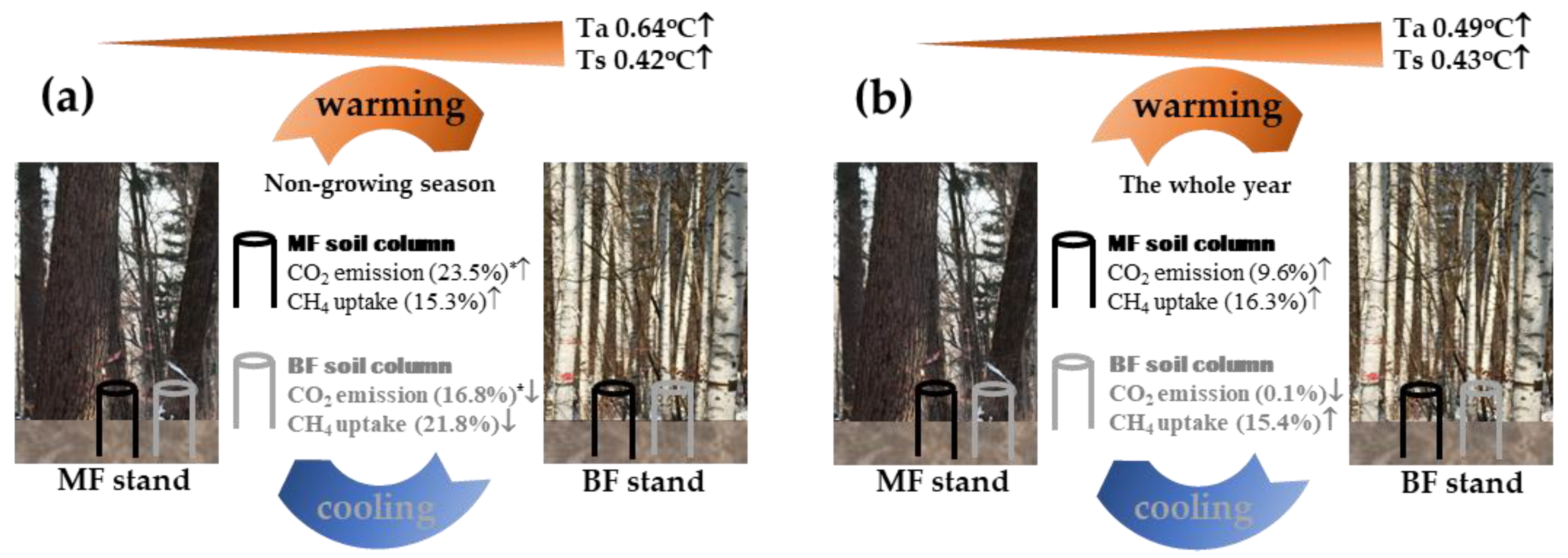 Forests 14 01531 g009 Forests 14 01531 g009