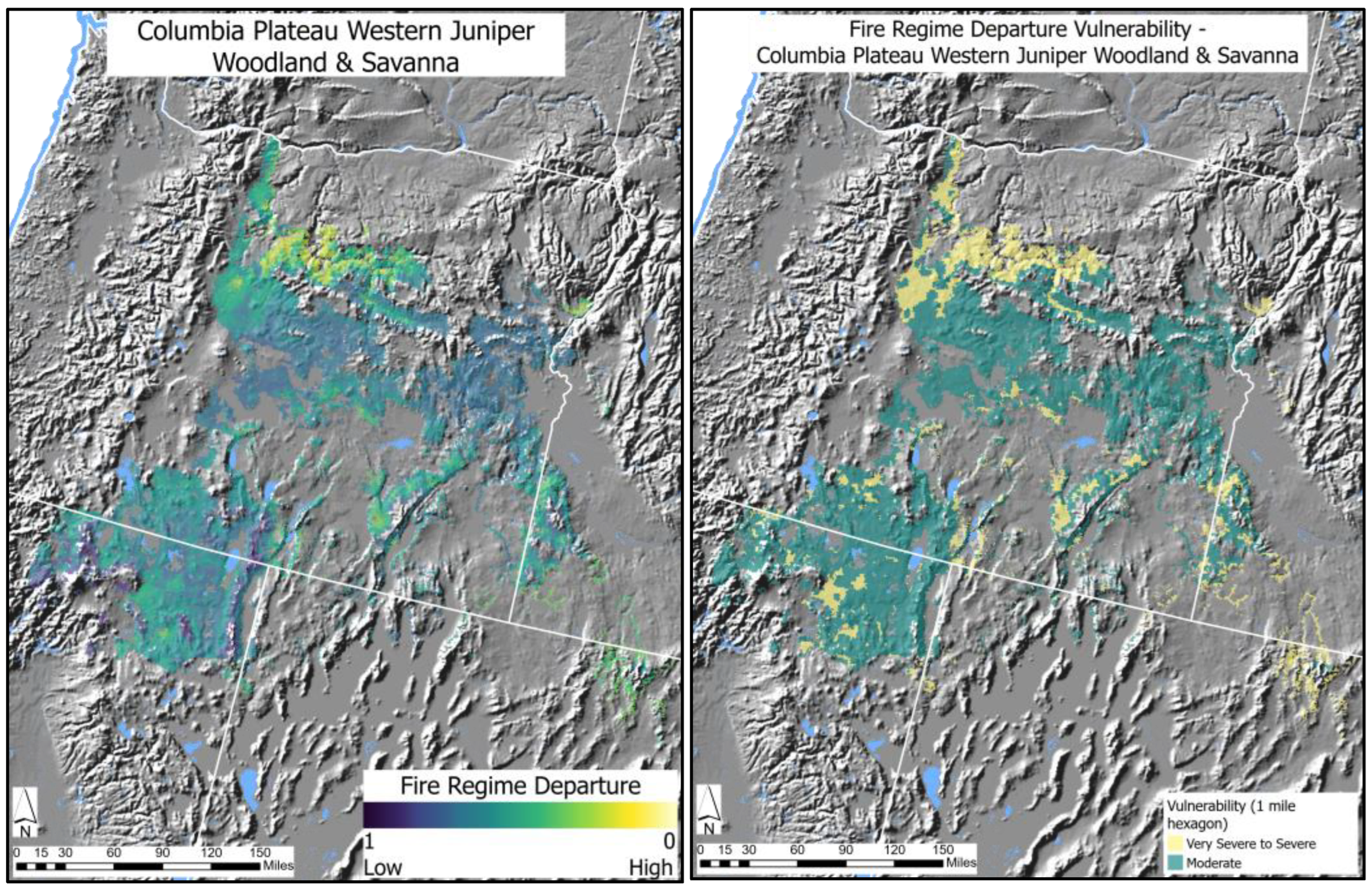 Forests 14 01533 g006 Forests 14 01533 g006