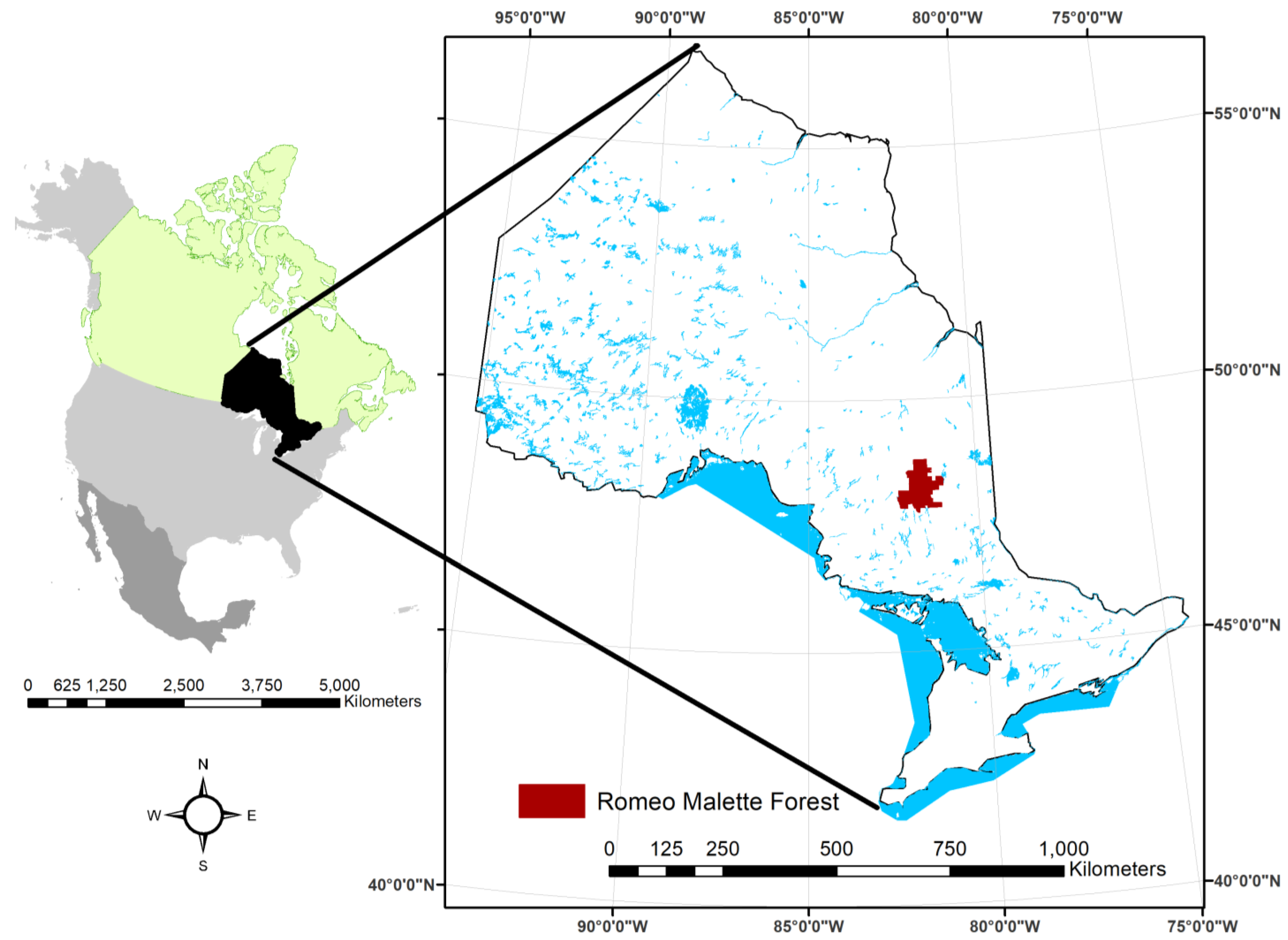 Forests 14 01541 g001 Forests 14 01541 g001